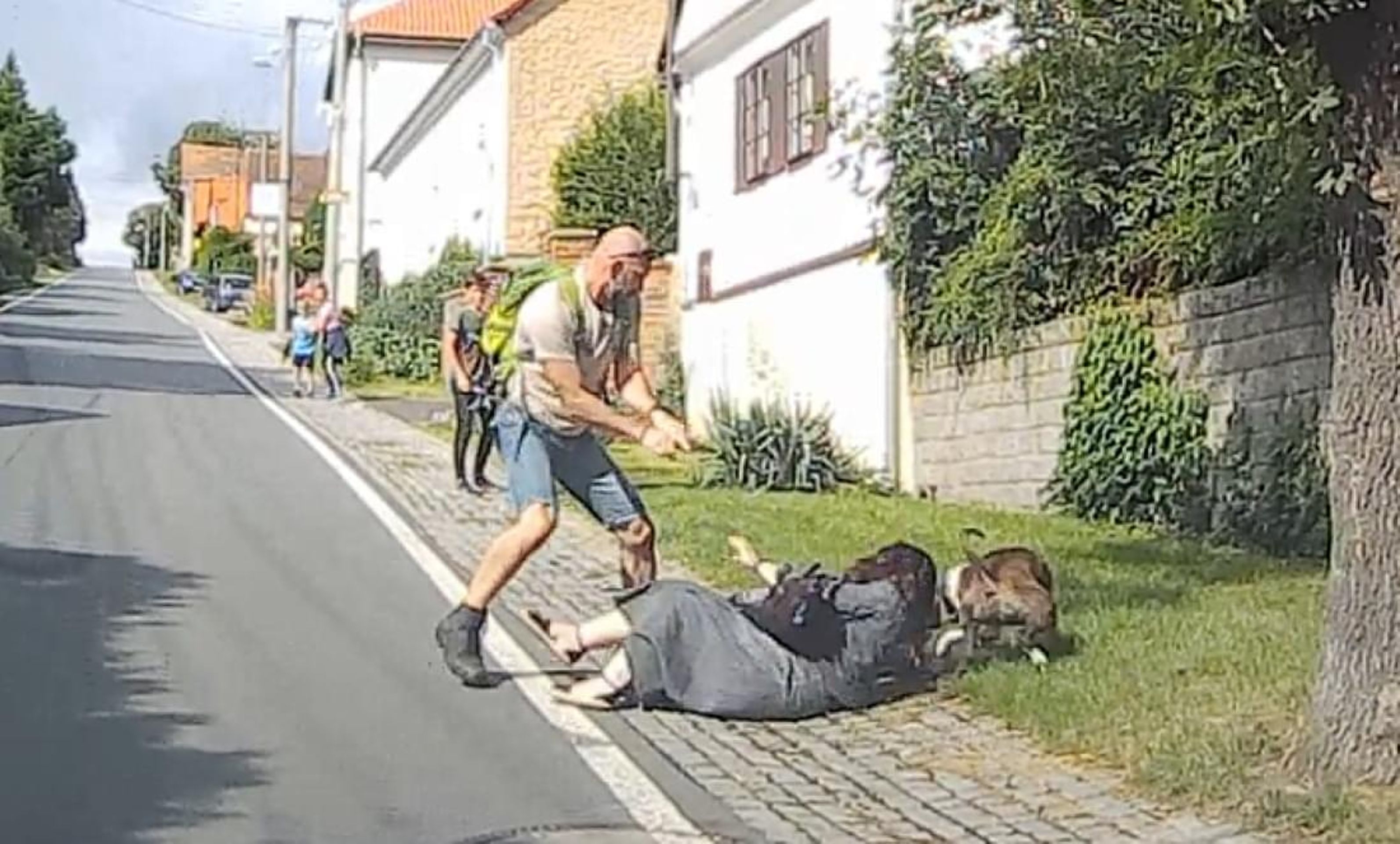 Martin bránil rodinu před psem se zbraní v ruce - 4 - GALERIE: Agresivní pes přeskočil plot a vrhl se na rodinu (5/8)
