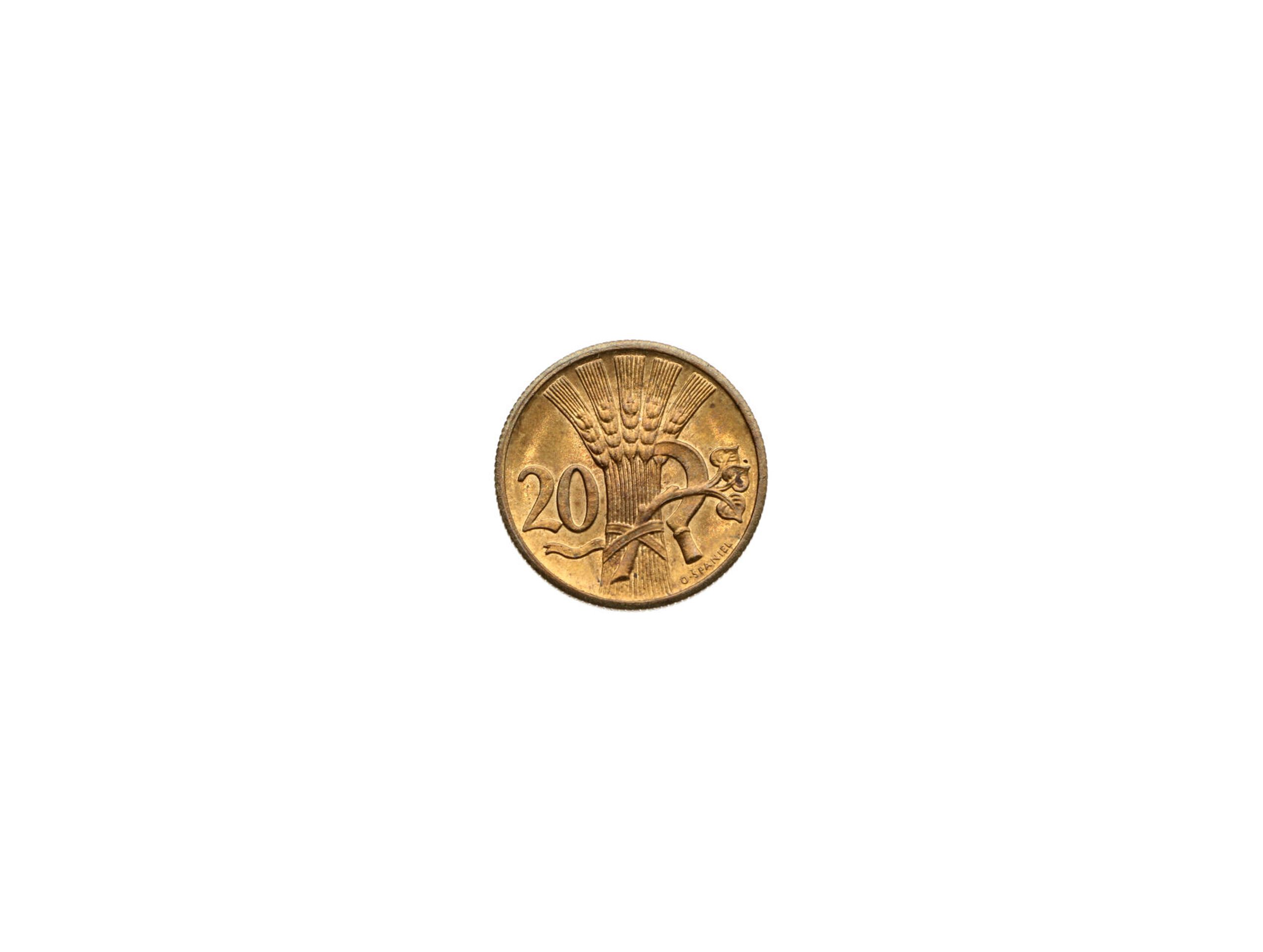 Dvacetihaléř 1931 - Položky do aukce (13/32)