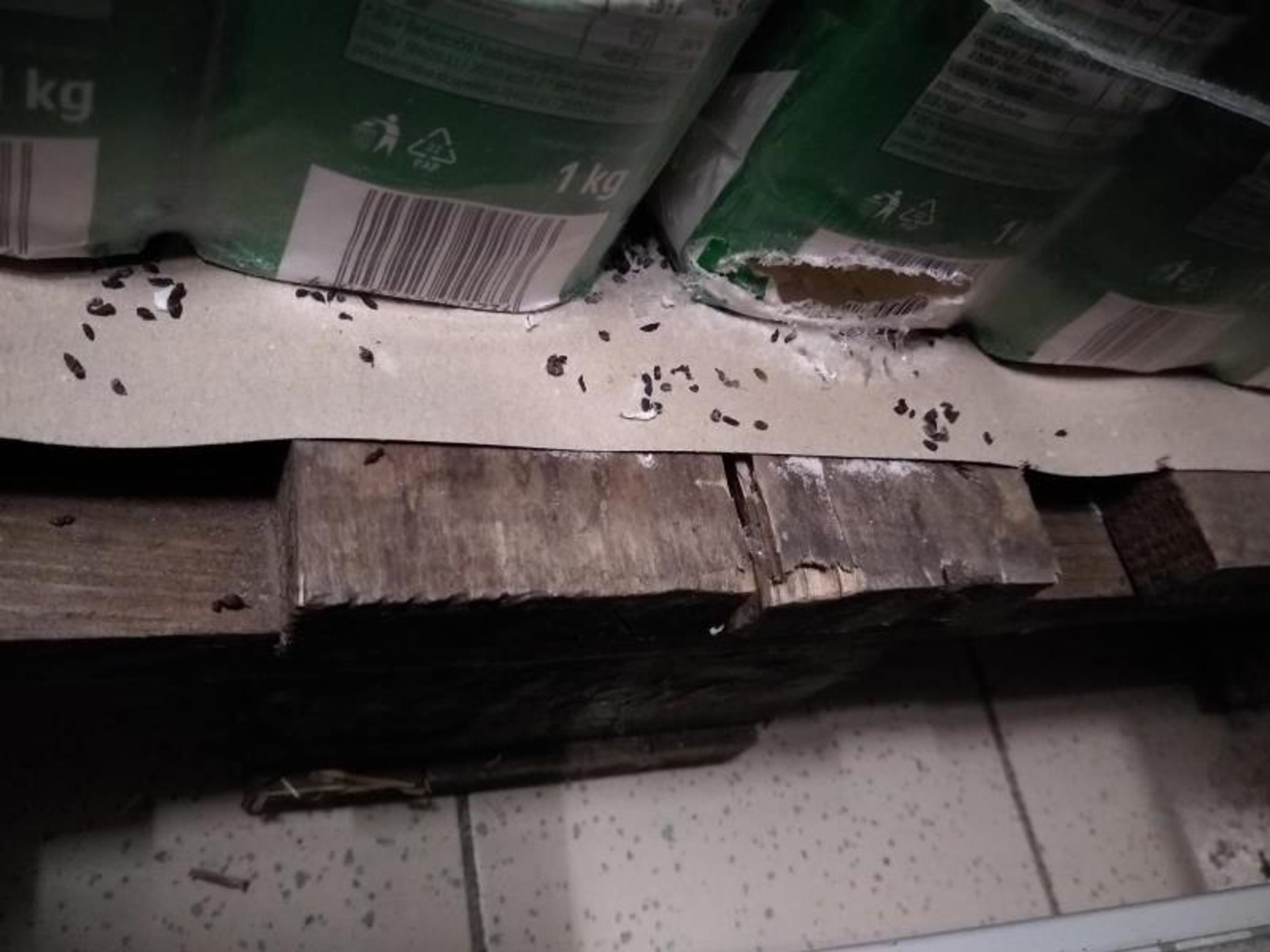 Kaufland -Chrudim (7) - Uzavřená provozovka - Kaufland (8/11)