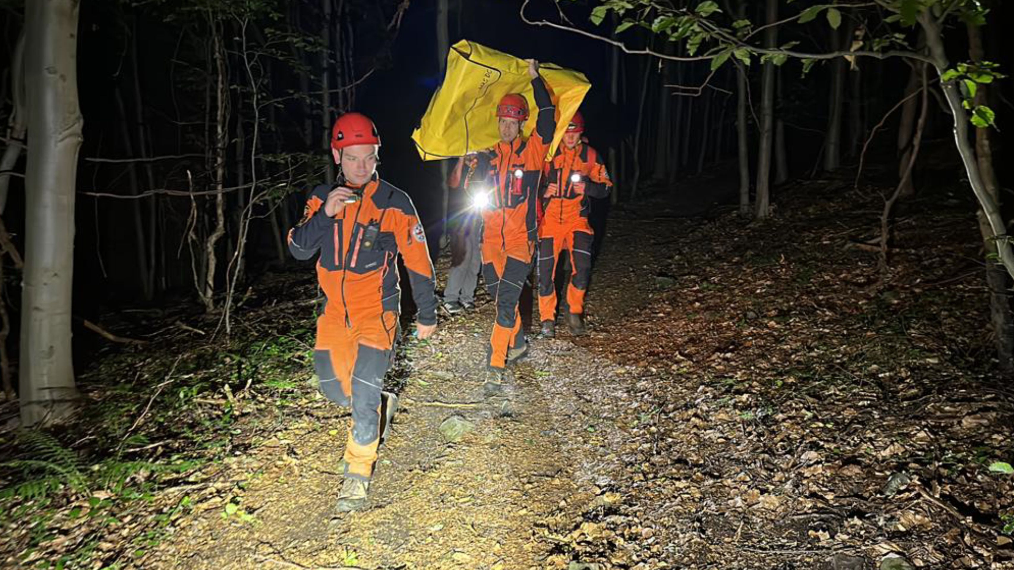 Z rozhledny na Děčínsku spadly děti - Z rozhledny na Děčínsku spadlo několik dětí (4/13)