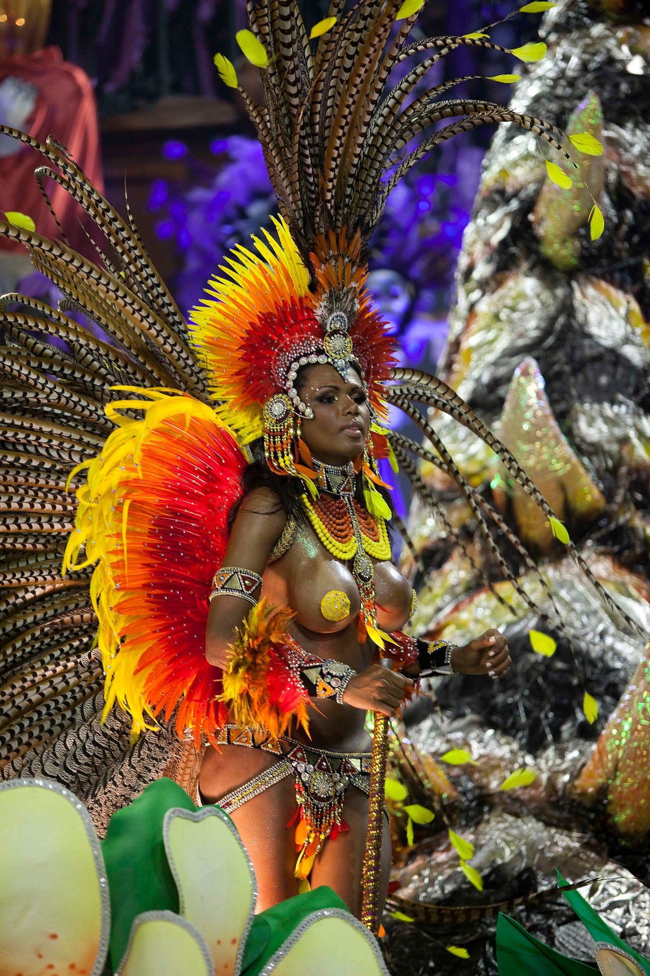 Karneval v Rio de Janeiro-4 - GALERIE: Karneval v Rio de Janeiru (6/12)
