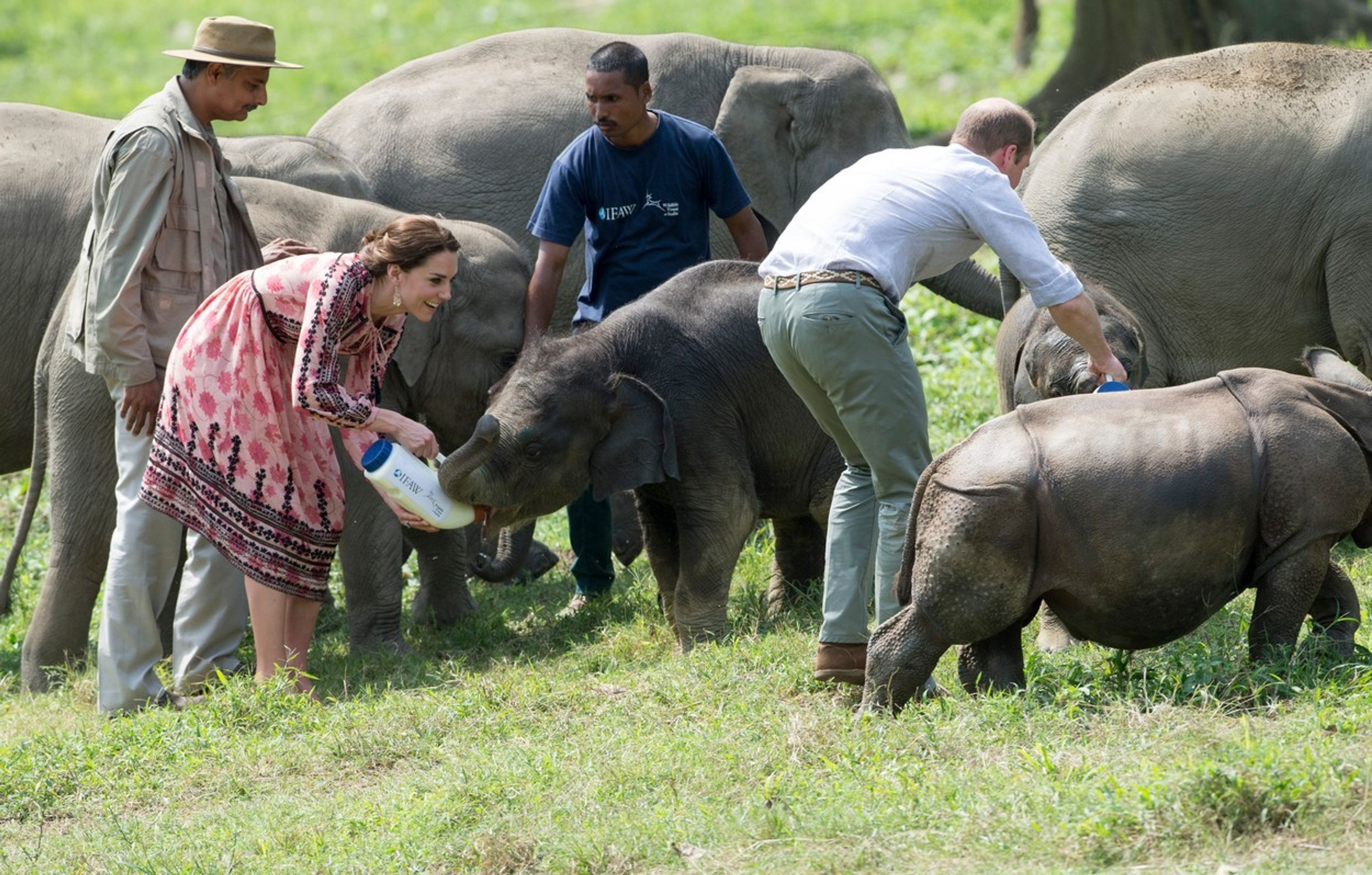 Kate a William v záchranné staniciIndii - 1 - GALERIE: Kate a William v záchranné stanici v Indii (1/6)