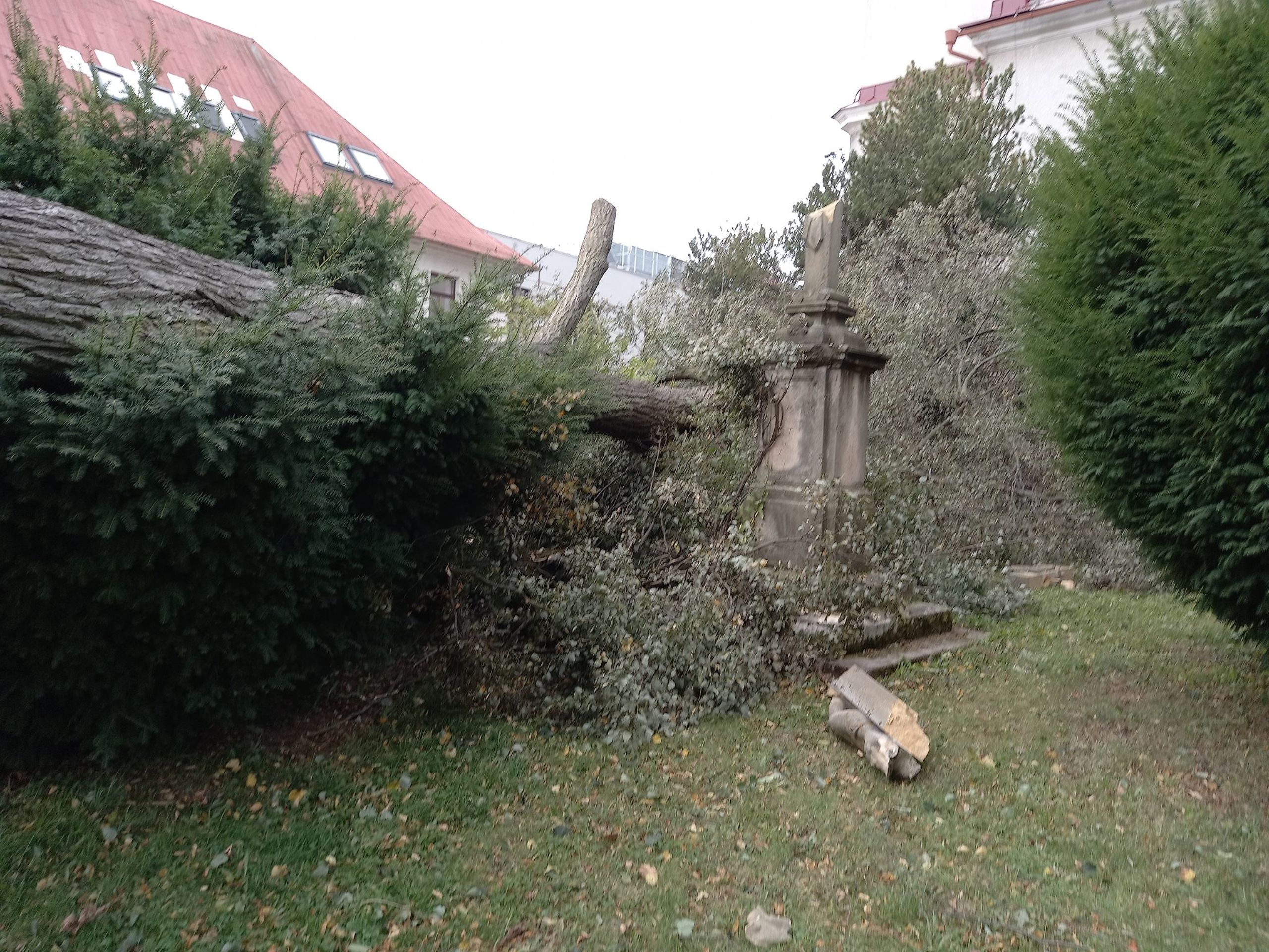 Následky silného větru v Královéhradeckém kraji - Následky silného větru (7/8)