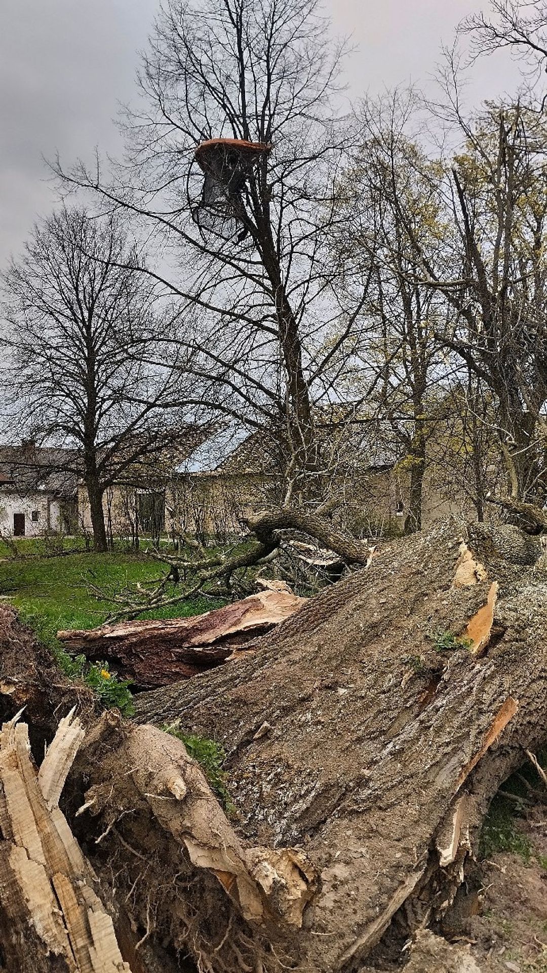 Tornádo na Havlíčkobrodsku (1) - Tornádo na Havlíčkobrodsku (2/3)