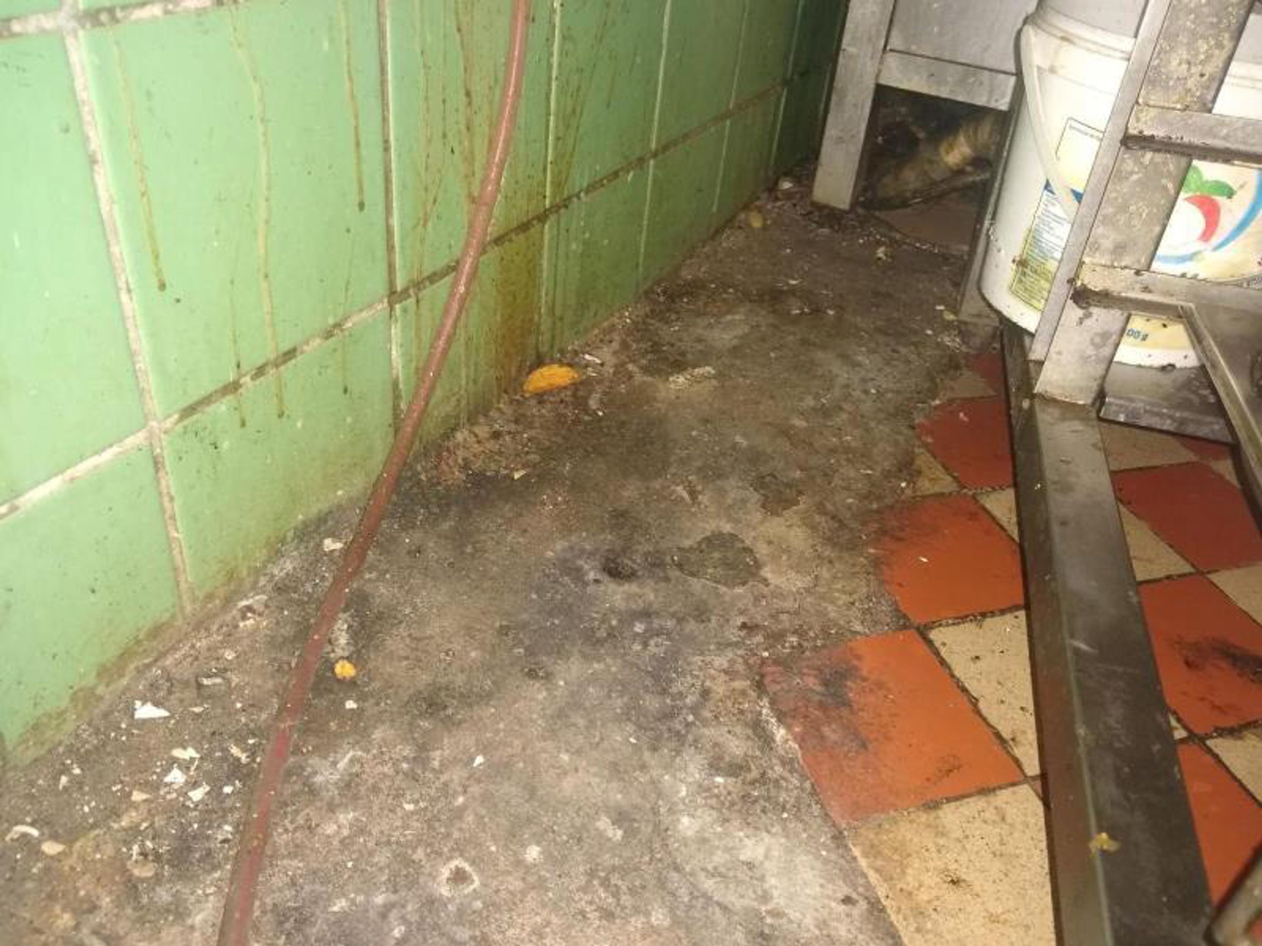 Restaurace-Sklípek (1) - Uzavřené provozovny (16/21)