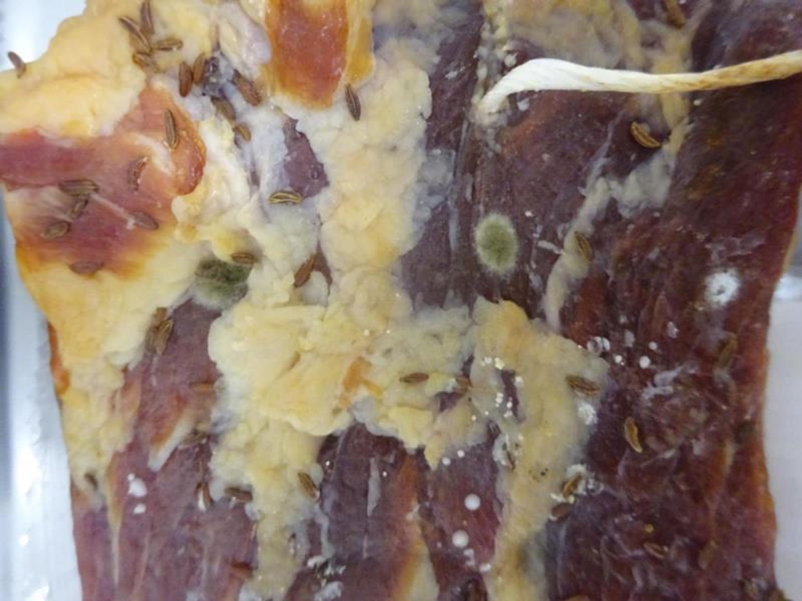 SLOVENSKÁ GAZDOVSKÁ SLANINA (8) - Závadné potraviny (13/14)