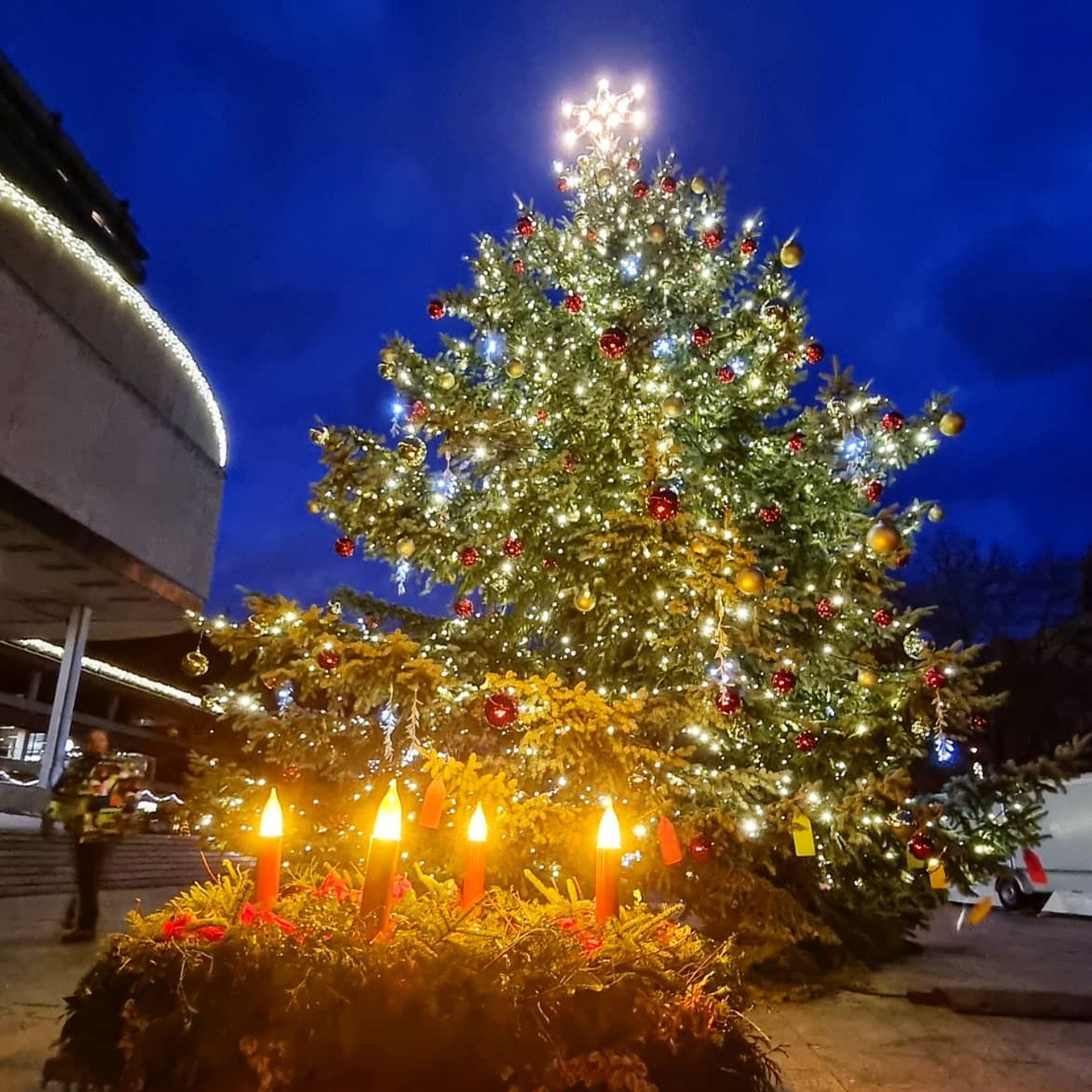 Vánoční strom v Karlových Varech - Vánoční stromy (9/14)