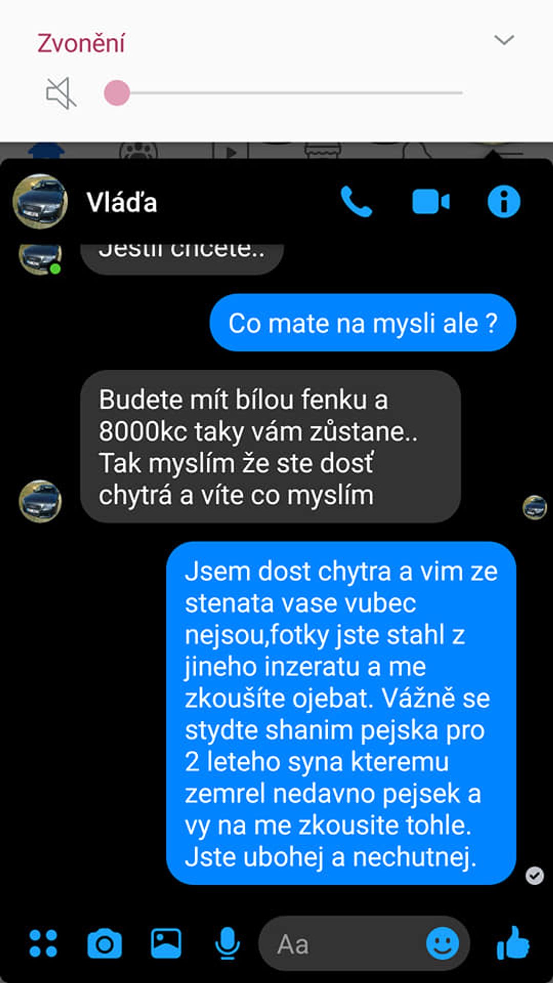 Chtěla koupit štěně - on žádal sex - GALERIE: Chtěla koupit štěně, podvodník žádal sex (4/4)