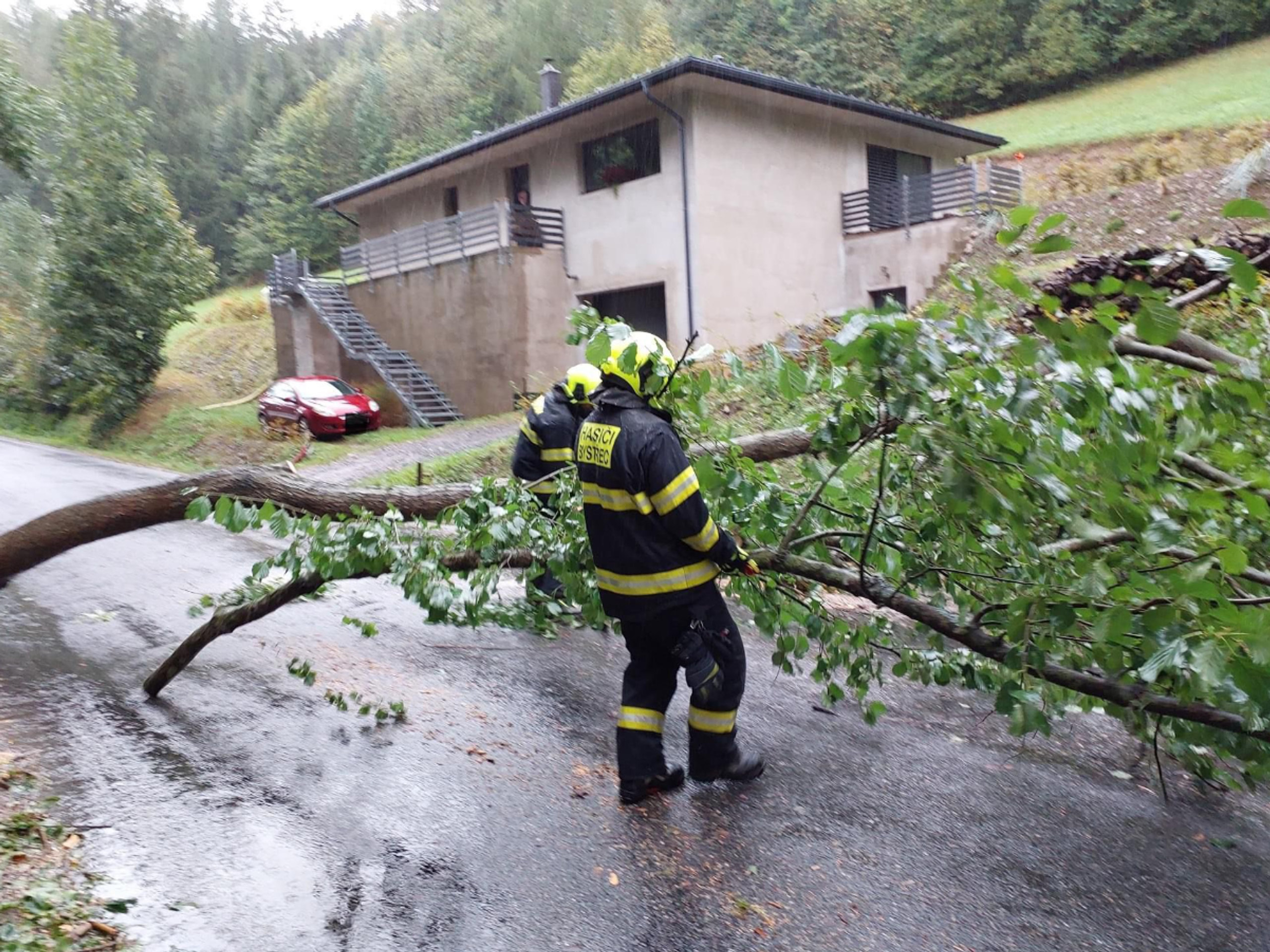 Odklízení spadlých stromů - Příprava na extrémní déšť v česku (5/30)