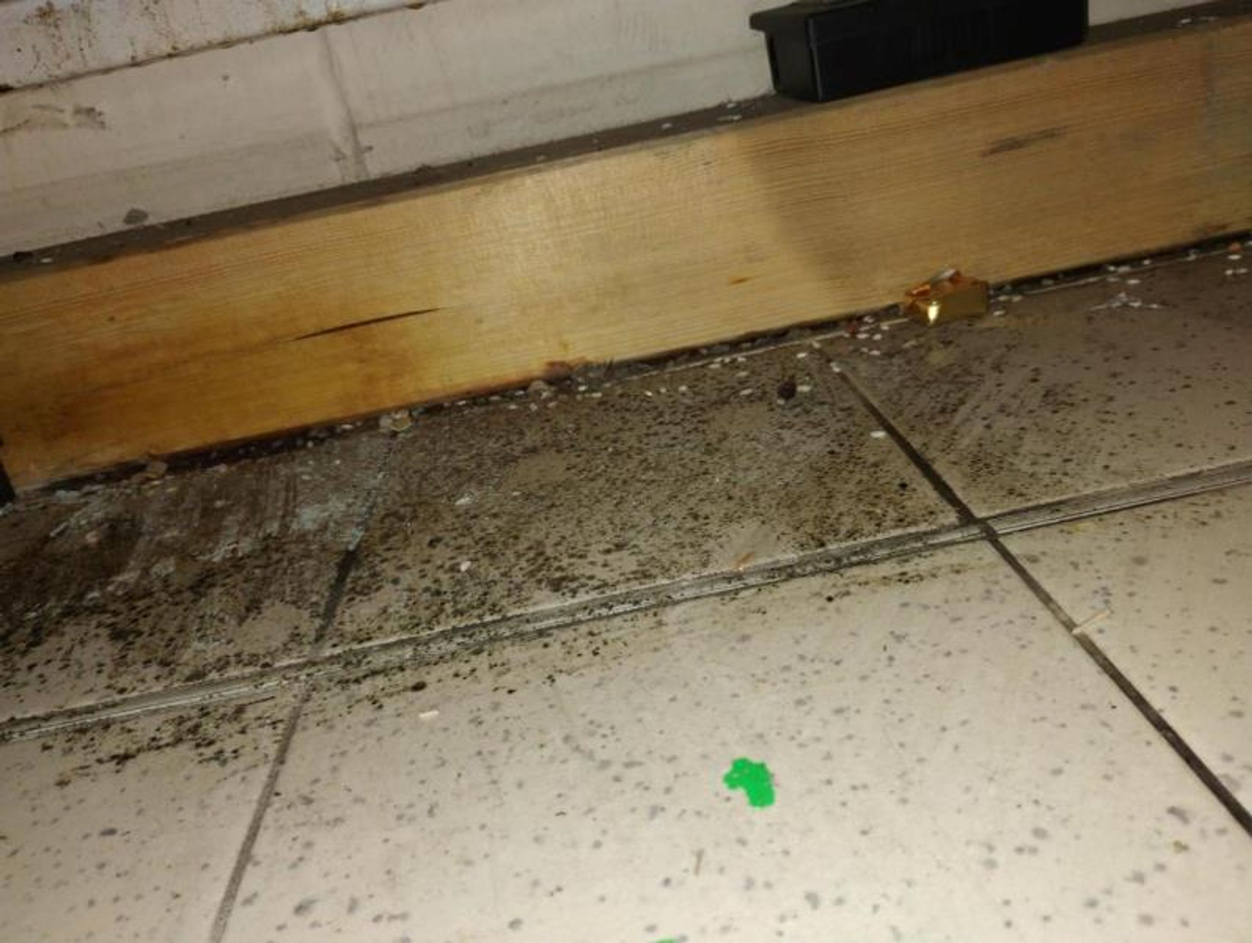 Prostory dvou skladů musely být uzavřeny (7) - Uzavření části Kauflandu v Pardubicích (8/22)