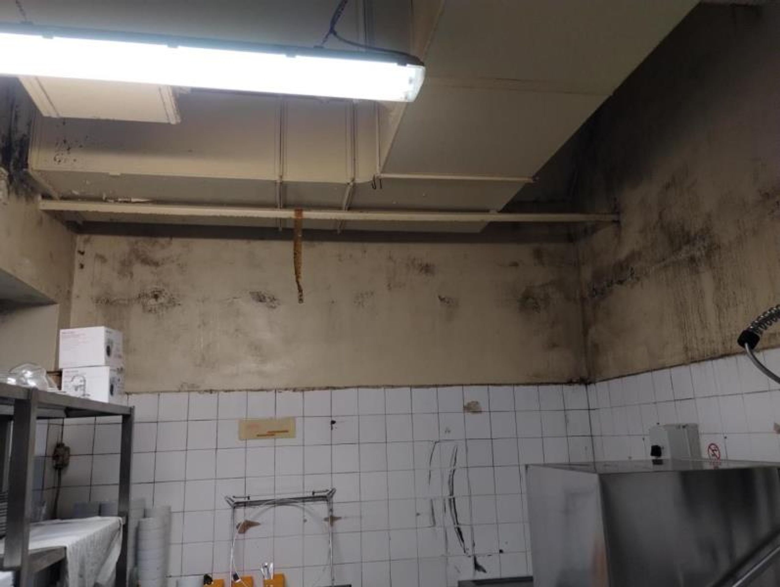 Motorest Rohlenka, Jiříkovice (5) - Provozovny s vážnými hygienickými nedostatky (47/70)