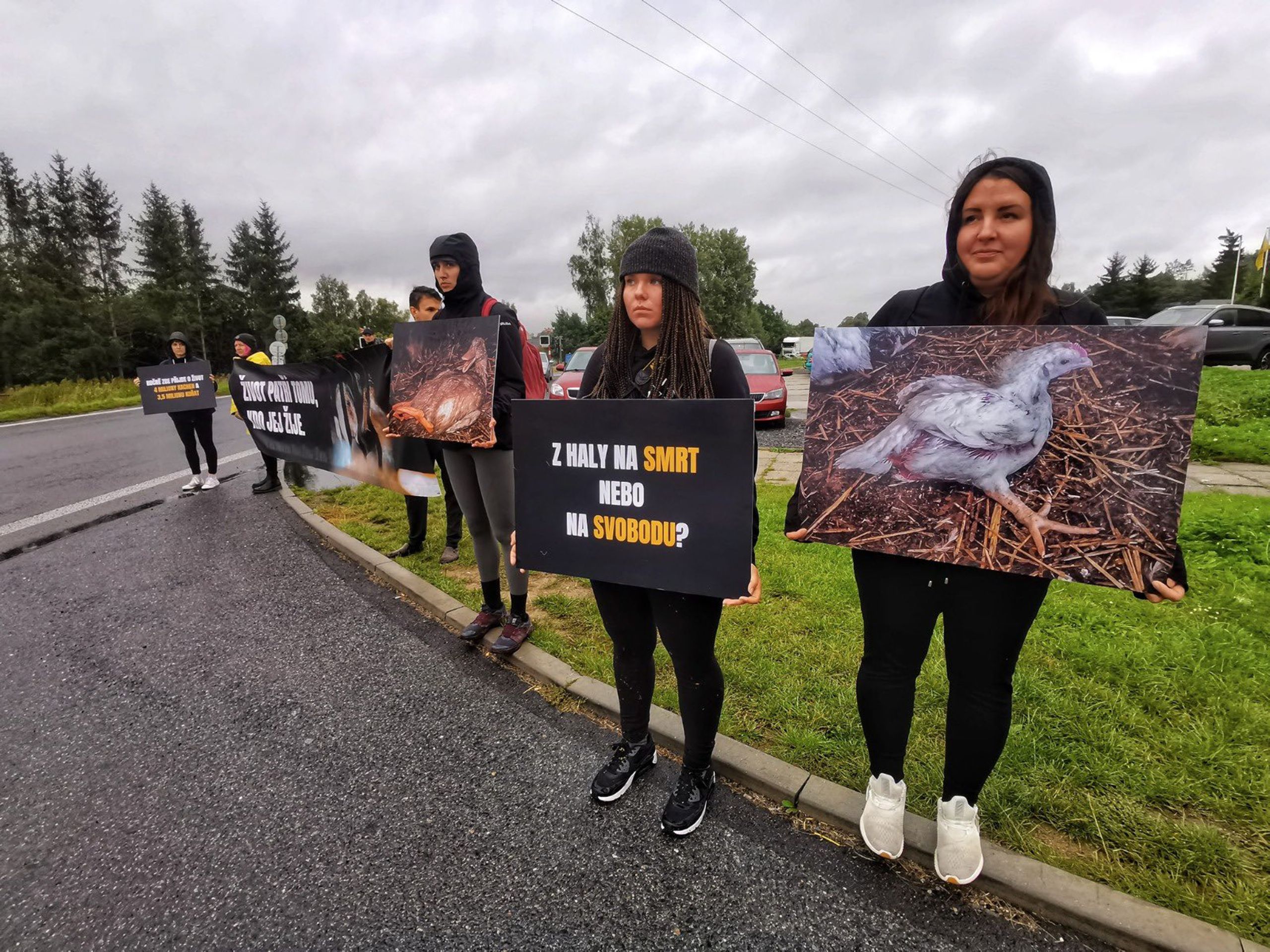 Aktivisté protestují u areálu Vodňanské drůbeže - GALERIE: Aktivisté u drůbežárny Mirovice na Písecku (5/11)