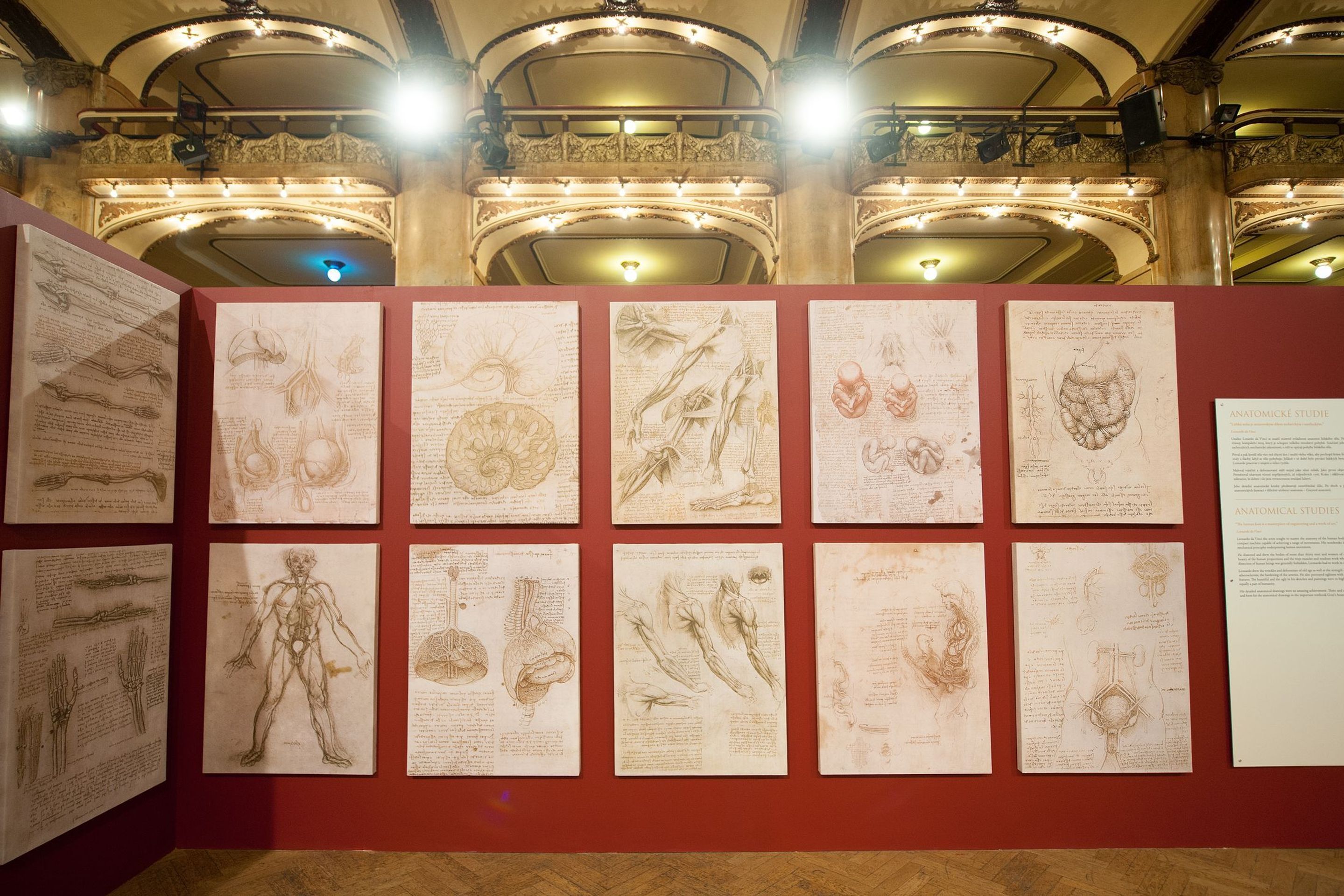 Výstava Da Vinci Inventions - 14 - GALERIE: Výstava Da Vinci Inventions (18/20)