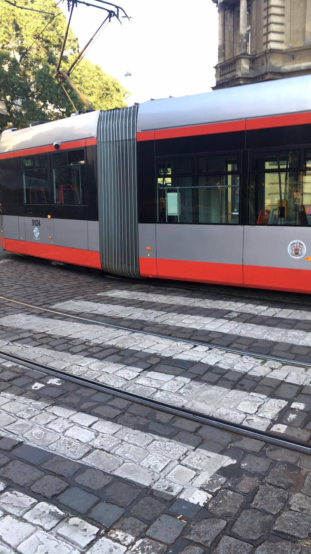 Kolaps dopravy v Praze kvůli spadlé troleji - 3 - GALERIE: Kolaps MHD v Praze kvůli spadlé troleji (3/7)