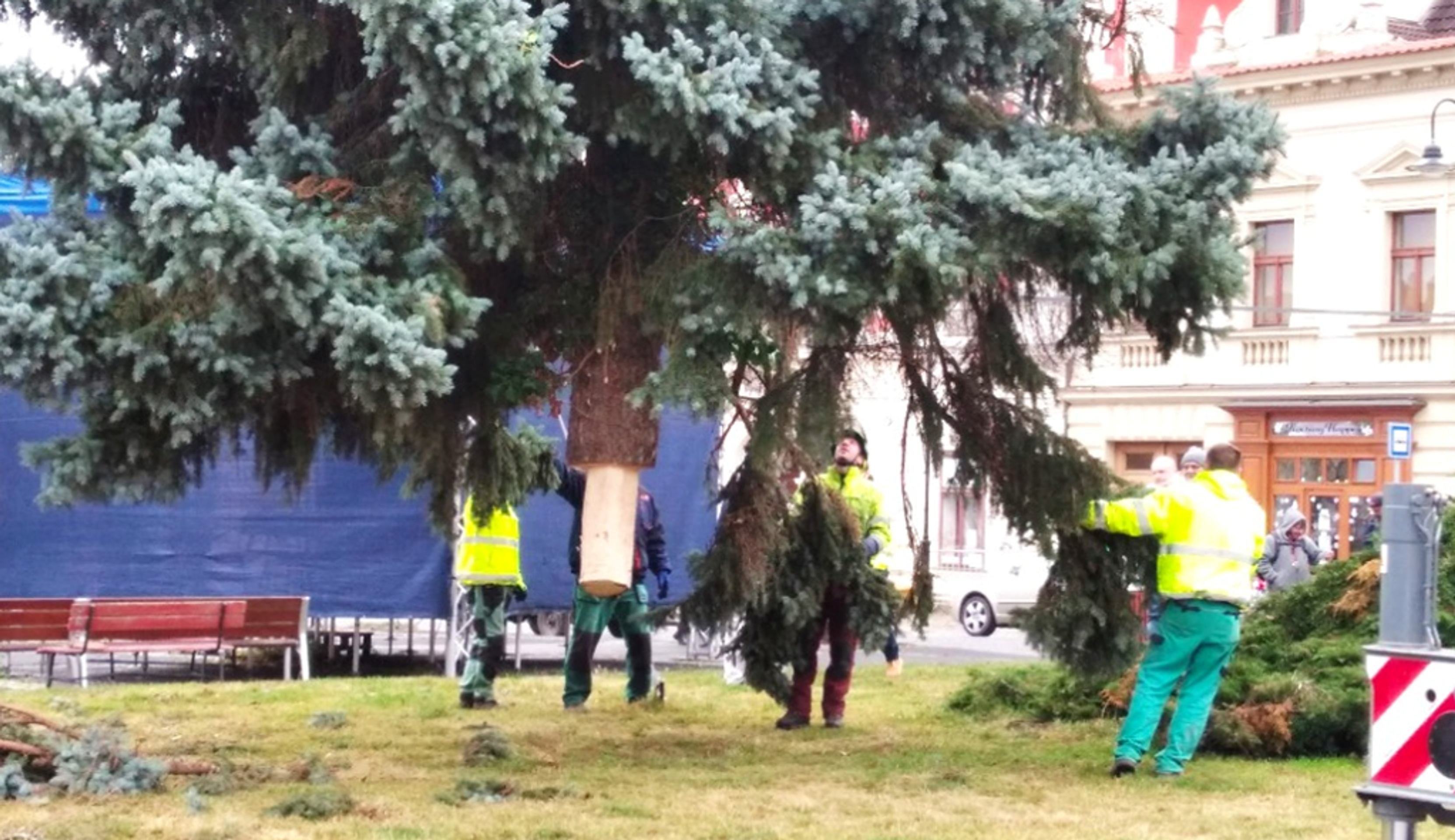 Ukotvování stromu ve Slaném - Vánoční strom ve Slaném a v Dubé spadl (3/6)
