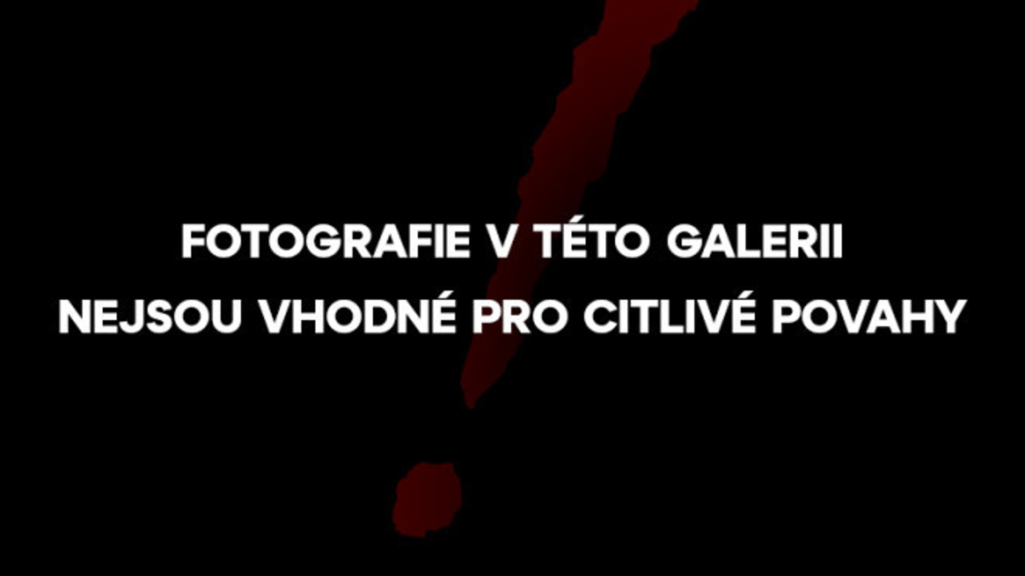 Utýraný pes nalezený na Tachovsku - 2 - GALERIE: Utýraný pes na Tachovsku (1/4)