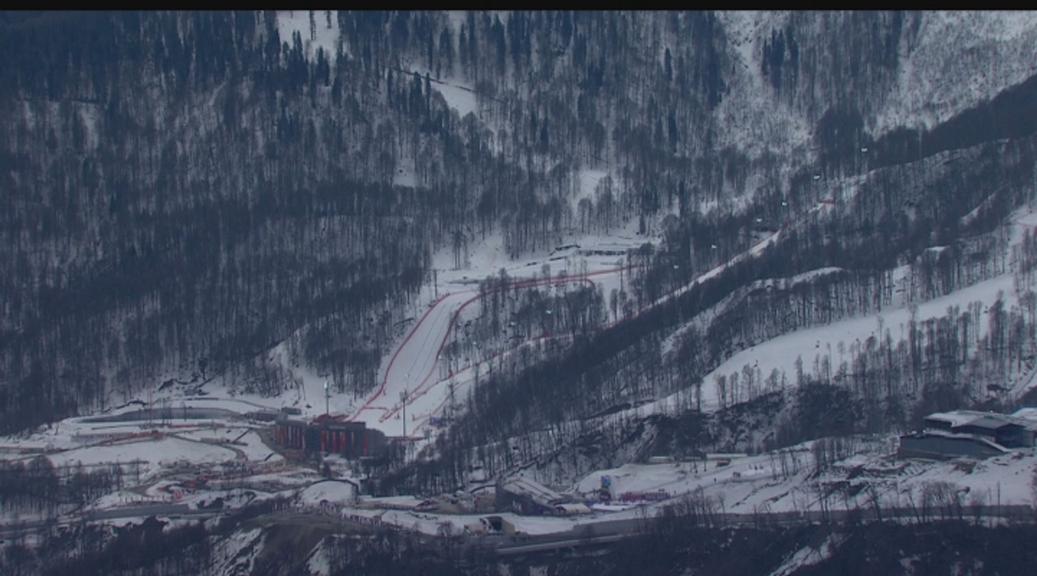 ALPSKE_LYZOVANI_SUPERKOMBINACE_SLALOM_ZENY-WINTER_OLYMPICS_GAMES_SOCHI_14-B025018 - VTHUMB - GALERIE: Silně ohrožené druhy (5/12)