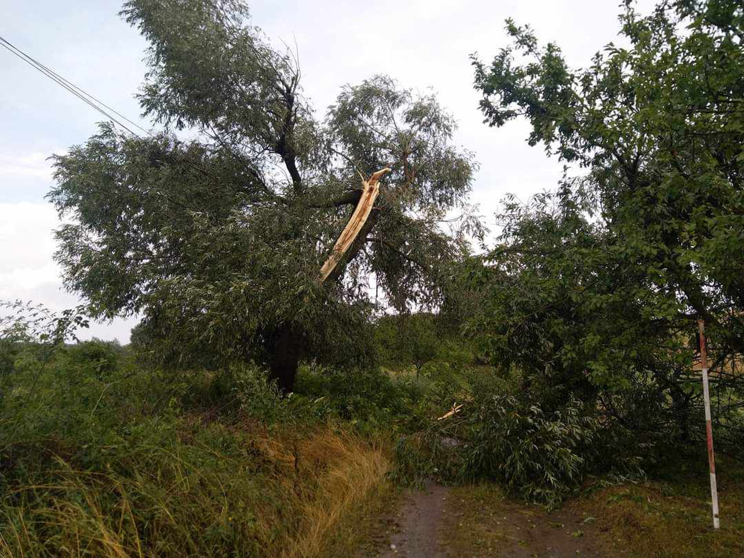 Následky bouřek - Následky bouřek (7/8)