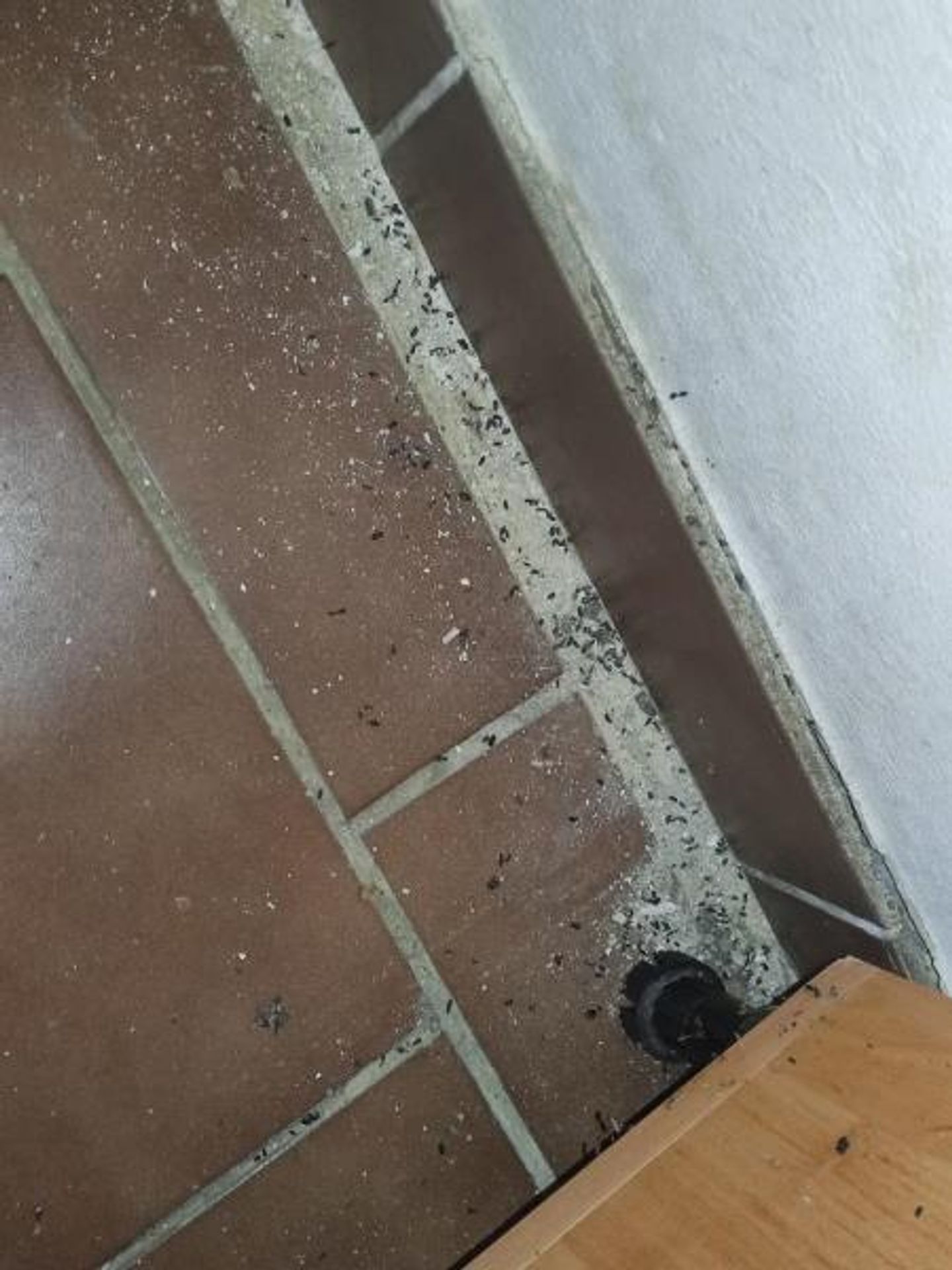 Samoobsluha, Leitnerova 9261, Brno (7) - Provozovny s vážnými hygienickými nedostatky (45/70)