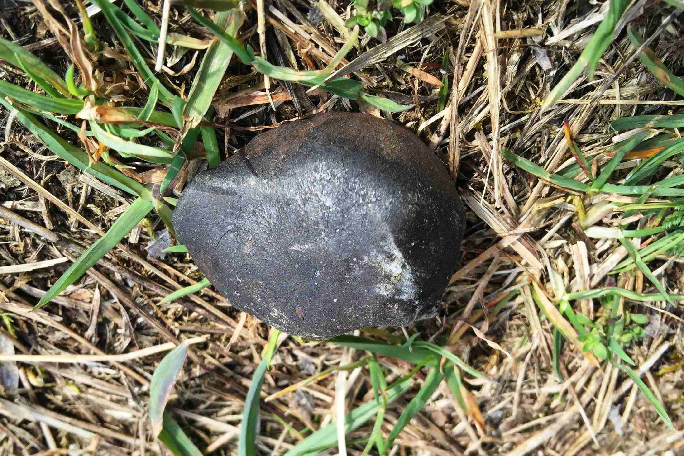 Meteority - 5 - GALERIE: Díky Čechům našli kusy meteoritu (5/5)