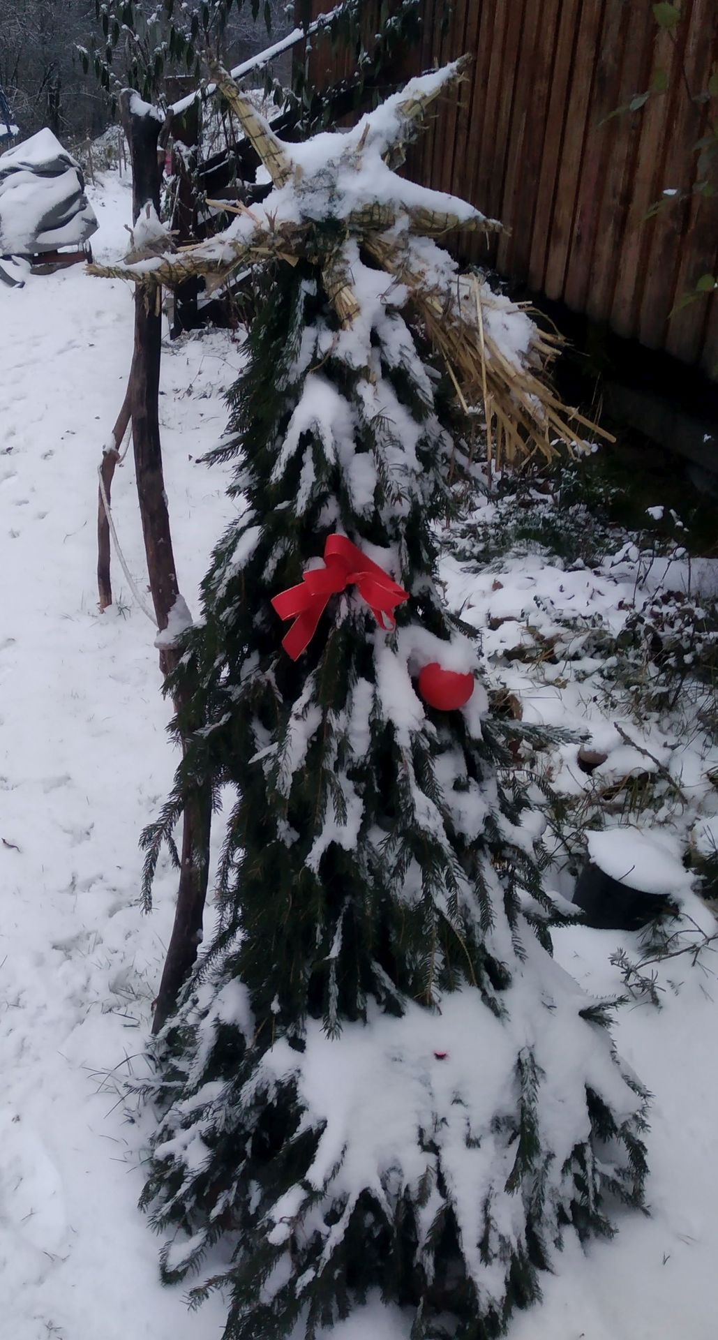 Vánoční stromek - GALERIE: Vyrobené vánoční stromky (12/12)