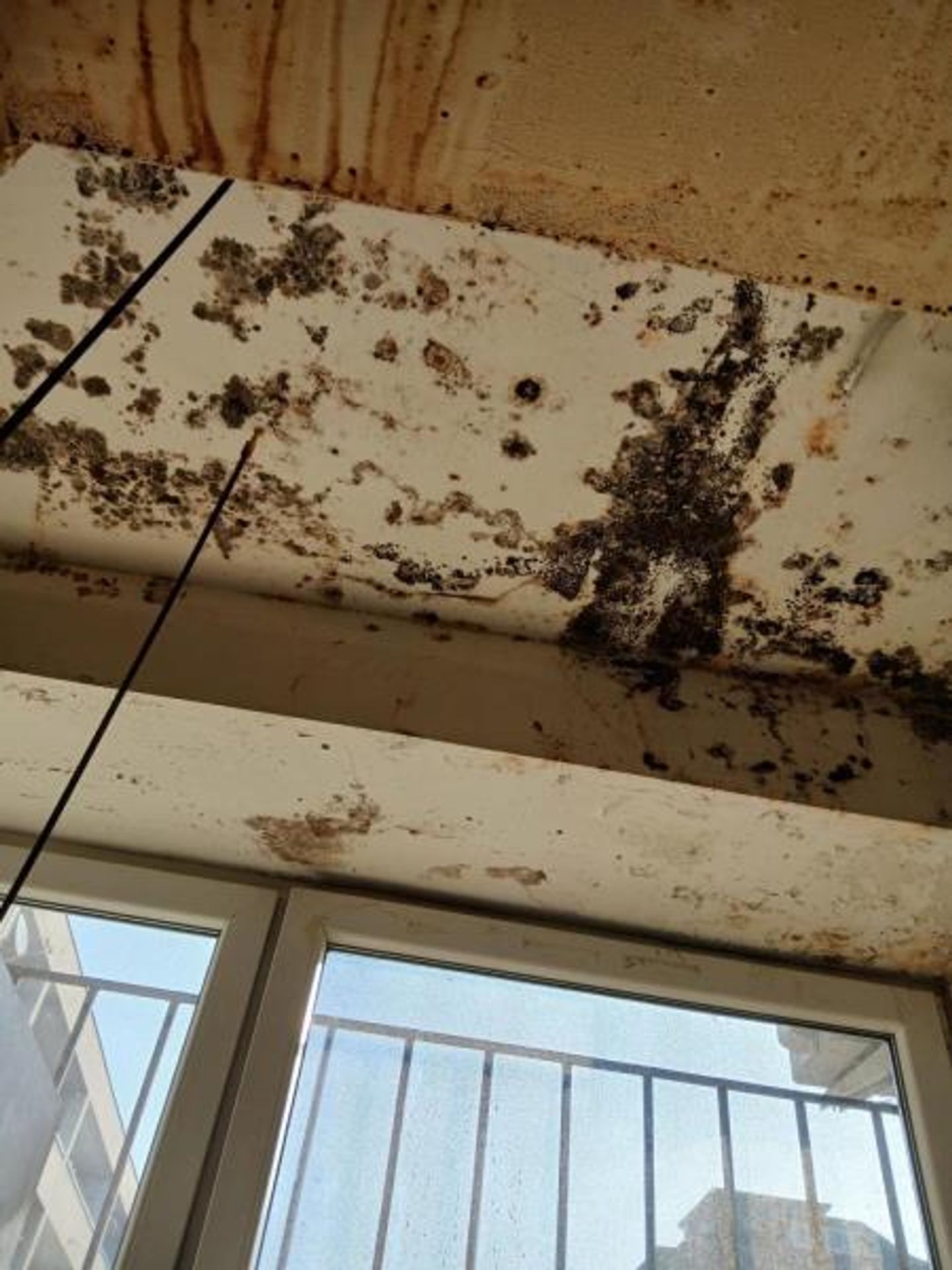 Restaurace u Tří bříz, Prostějov (5) - Provozovny s vážnými hygienickými nedostatky (15/70)