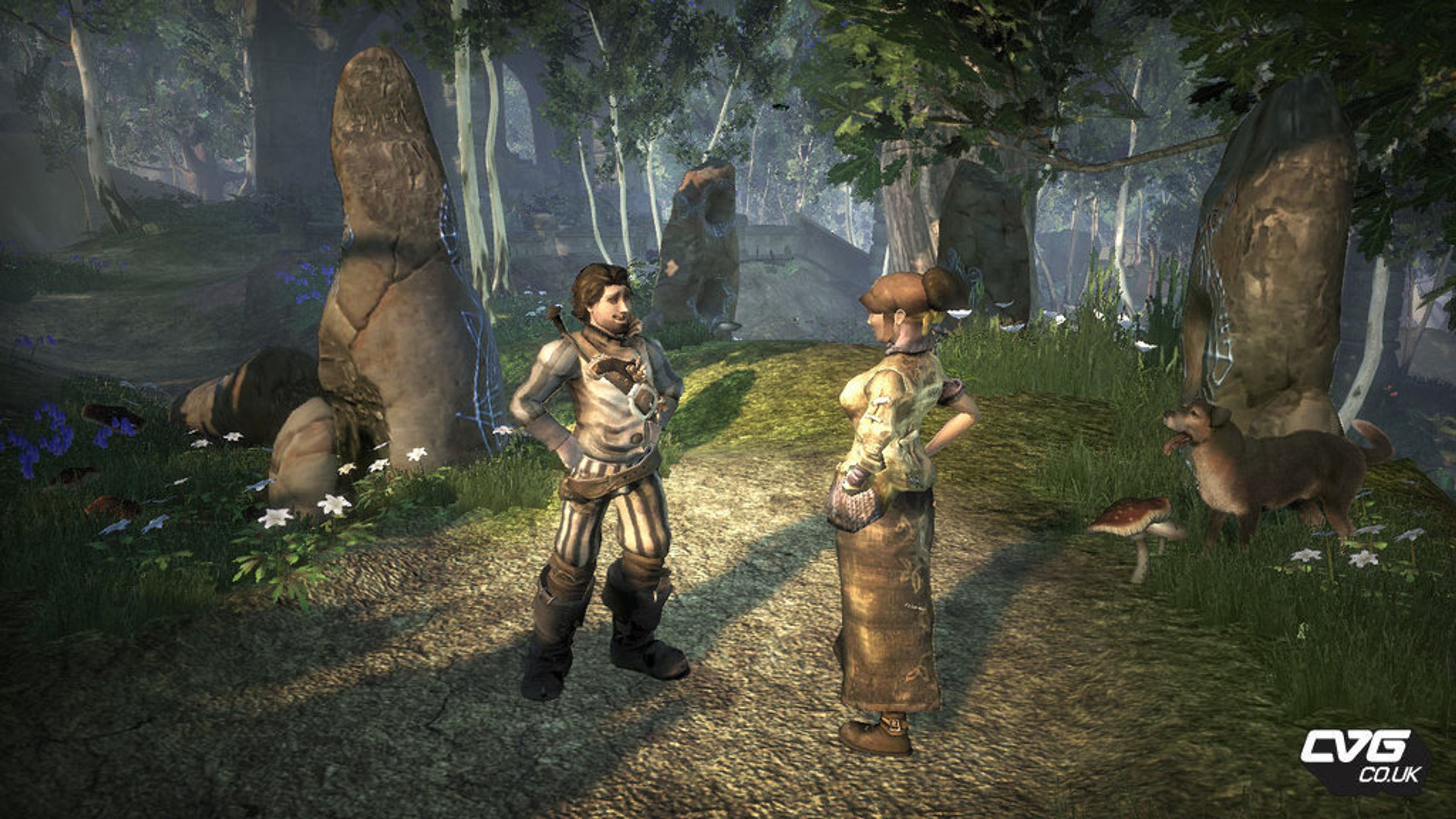 Fable 2 - Fable 2 galerie (8/11)