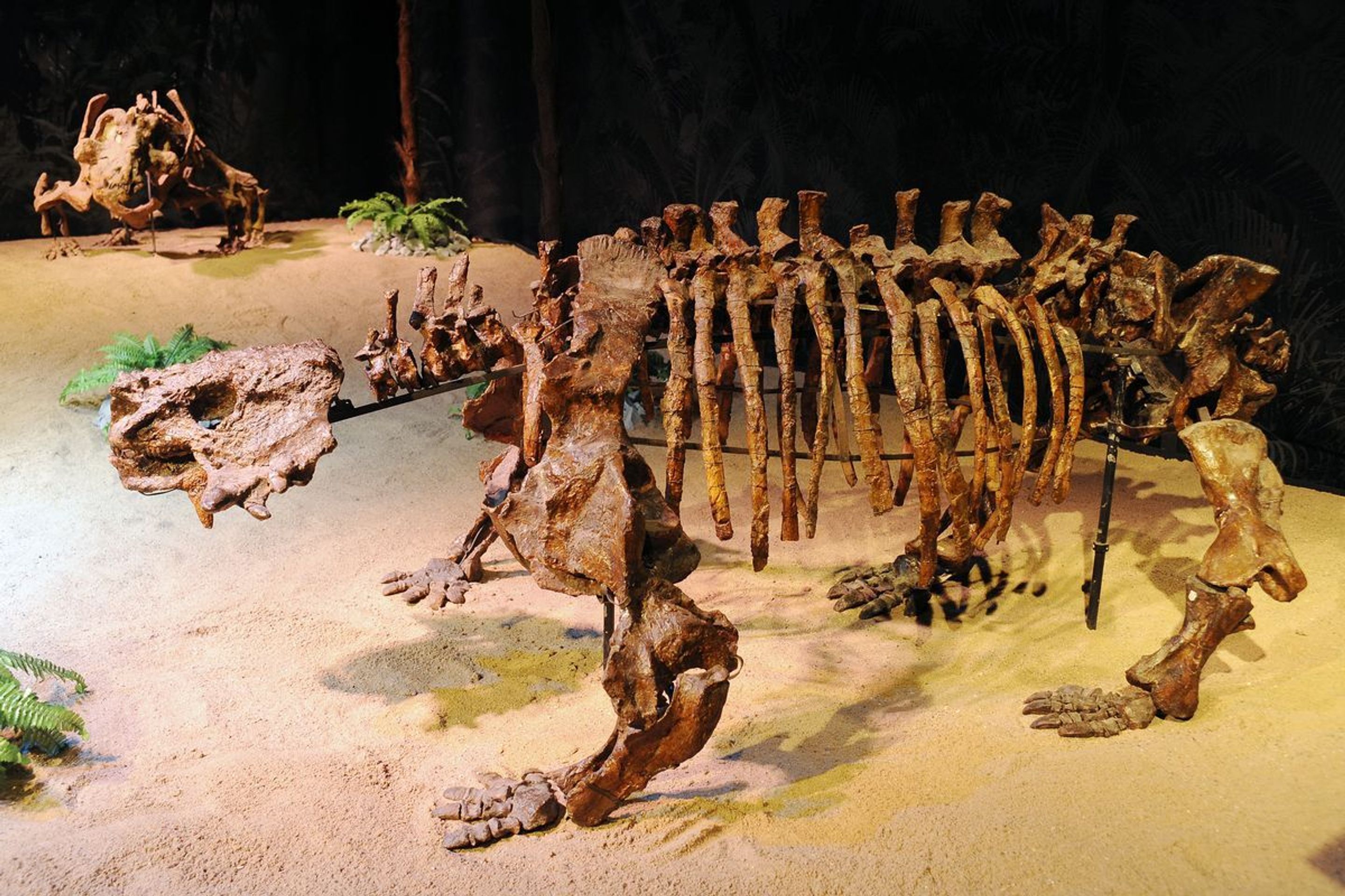 Výstava Dinosaurium - 8 - GALERIE: Výstava Dinosaurium (16/23)