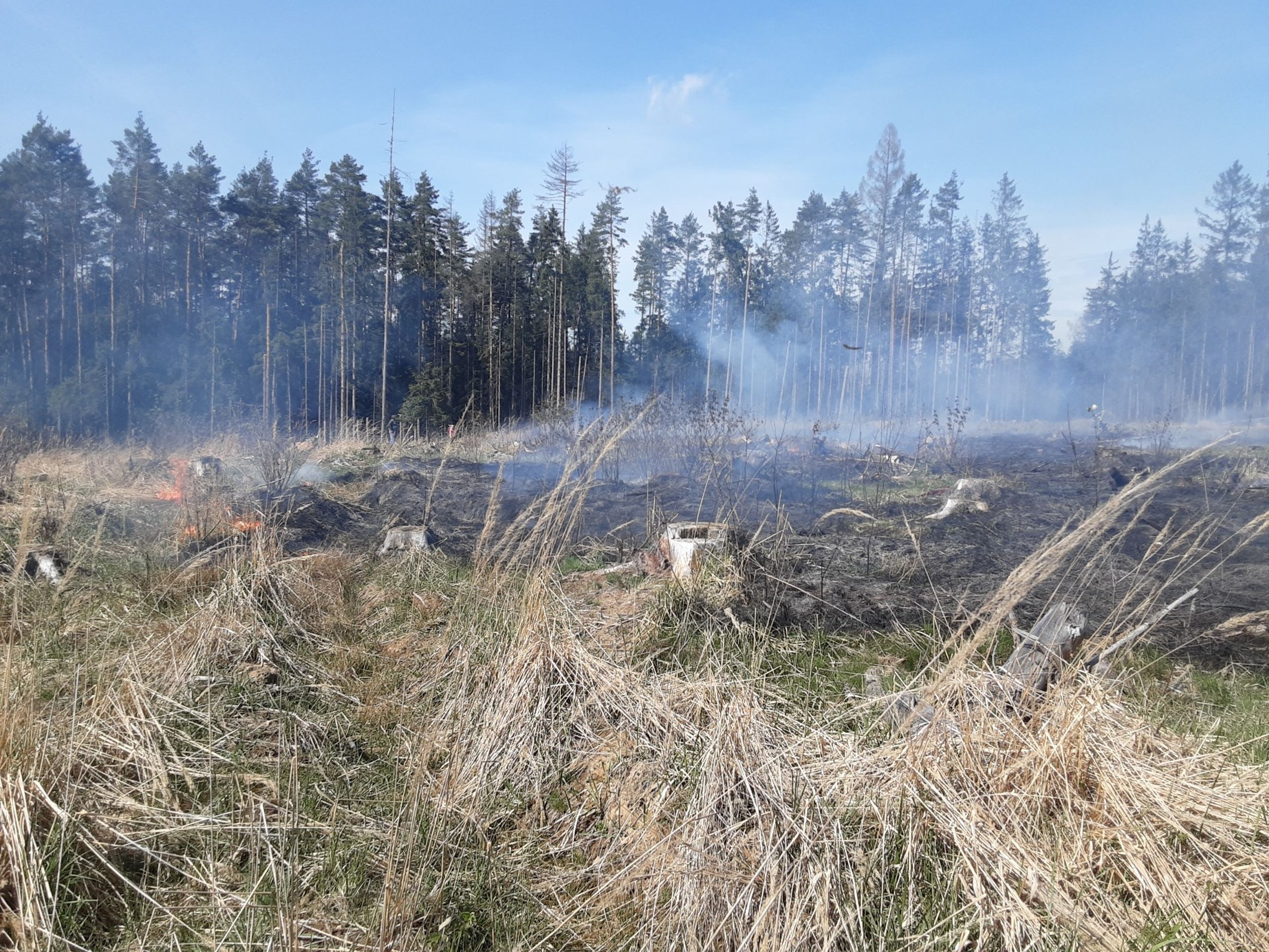 Požár porostu na Jihlavsku - Požár porostu na Jihlavsku (3/5)