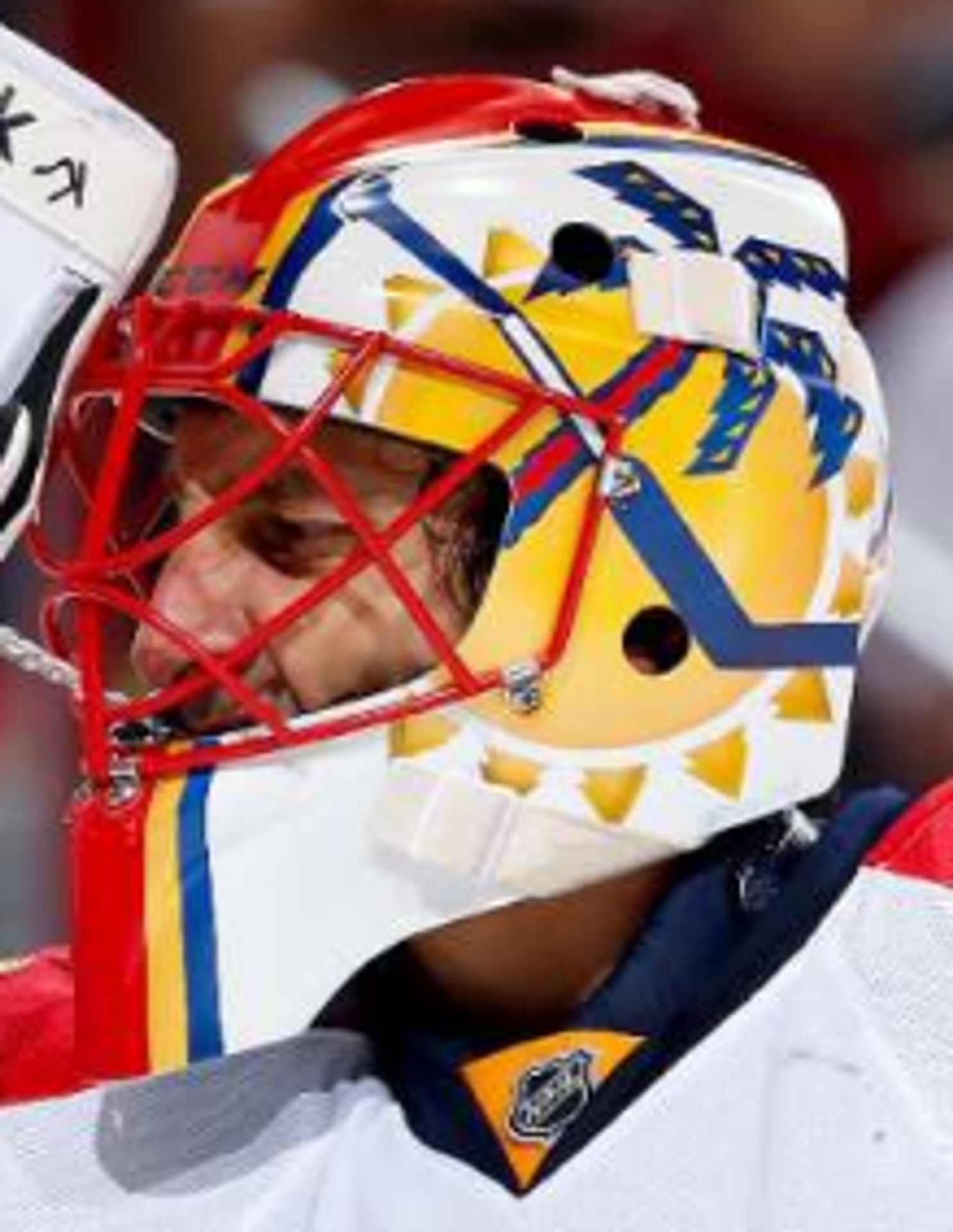Roberto Luongo - Galerie: Která brankářská helma byla v NHL nejoriginálnější? (13/14)