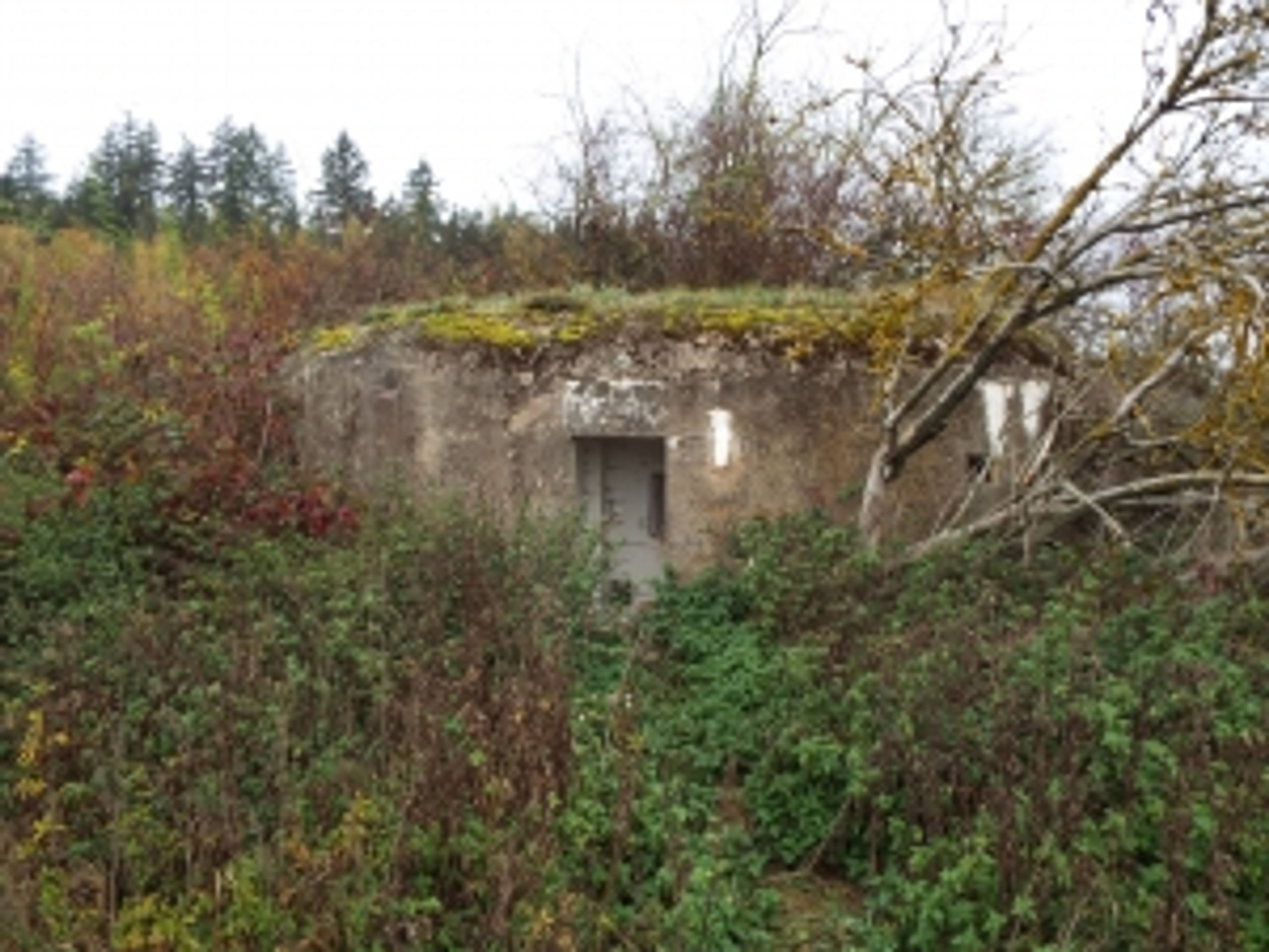 Řopík SLO VEČ 10328 v obci Lubenec, okres Louny (2) - Nabídka nemovitého majetku (56/61)