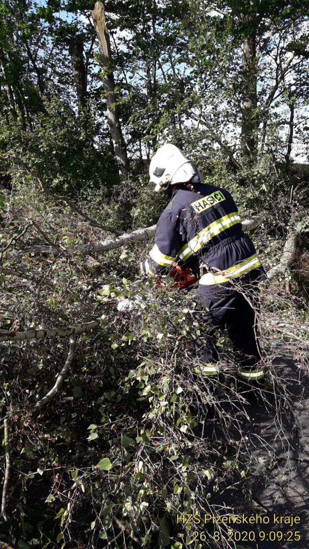 Hasiči v Plzeňském kraji mají kvůli silnému větru desítky výjezdů - 3 - GALERIE: Silný vítr v Česku - 26. 8. 2020 (1/3)