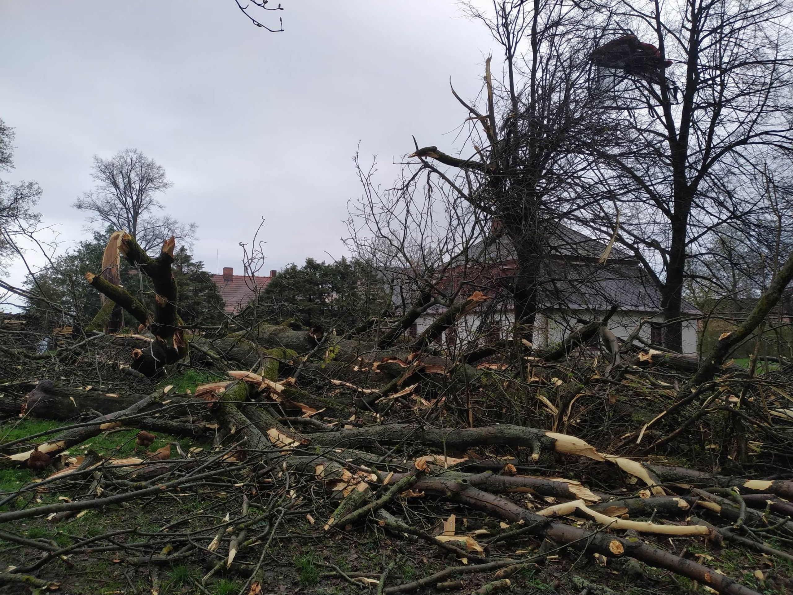 V Nejepíně na Havlíčkobrodsku nejspíš řádilo tornádo - V Nejepíně na Havlíčkobrodsku nejspíš řádilo tornádo (3/6)