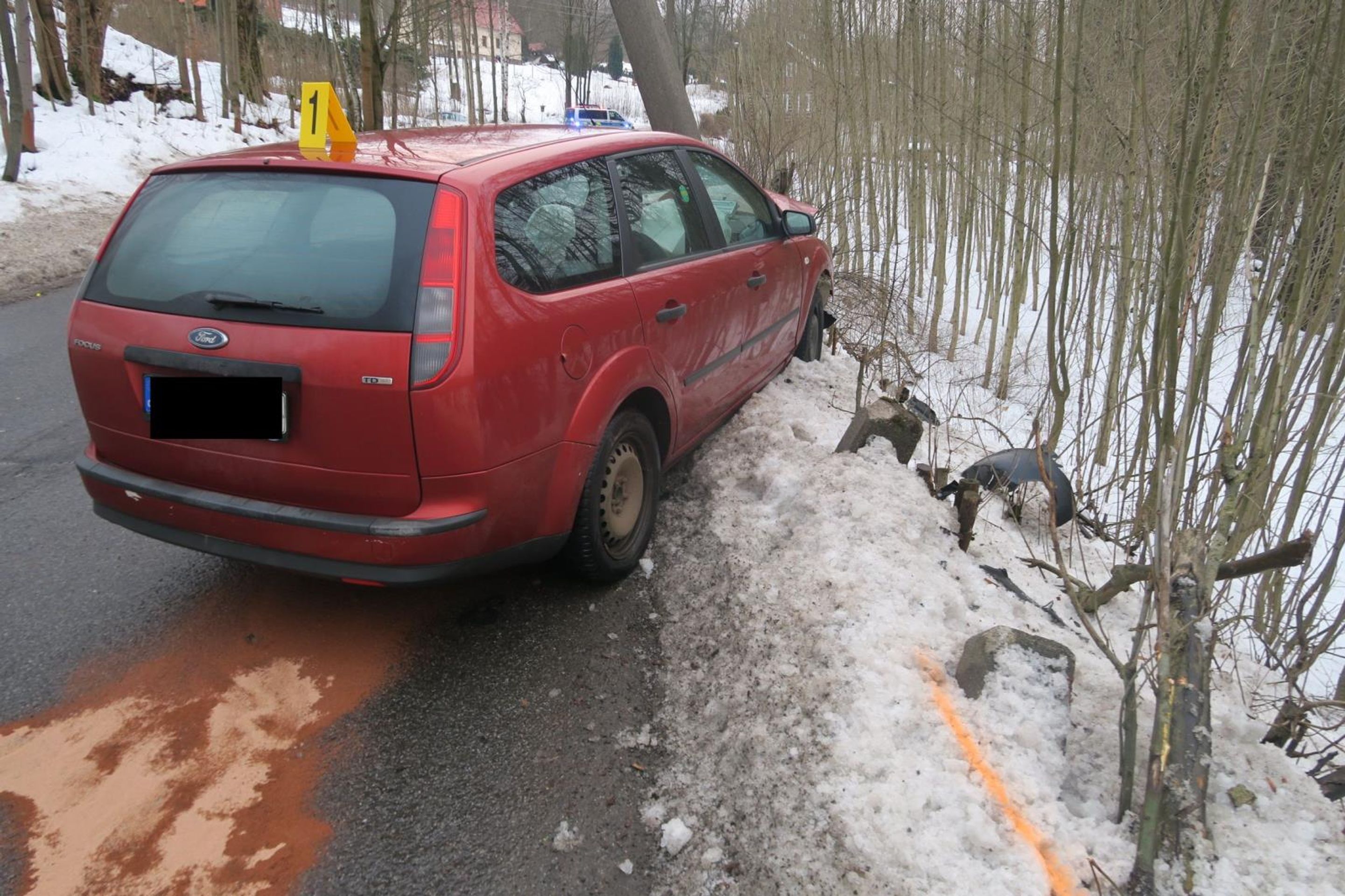 Nehoda na Jablonecku - Žena na Jablonecku strhla řízení kvůli kočce (4/6)