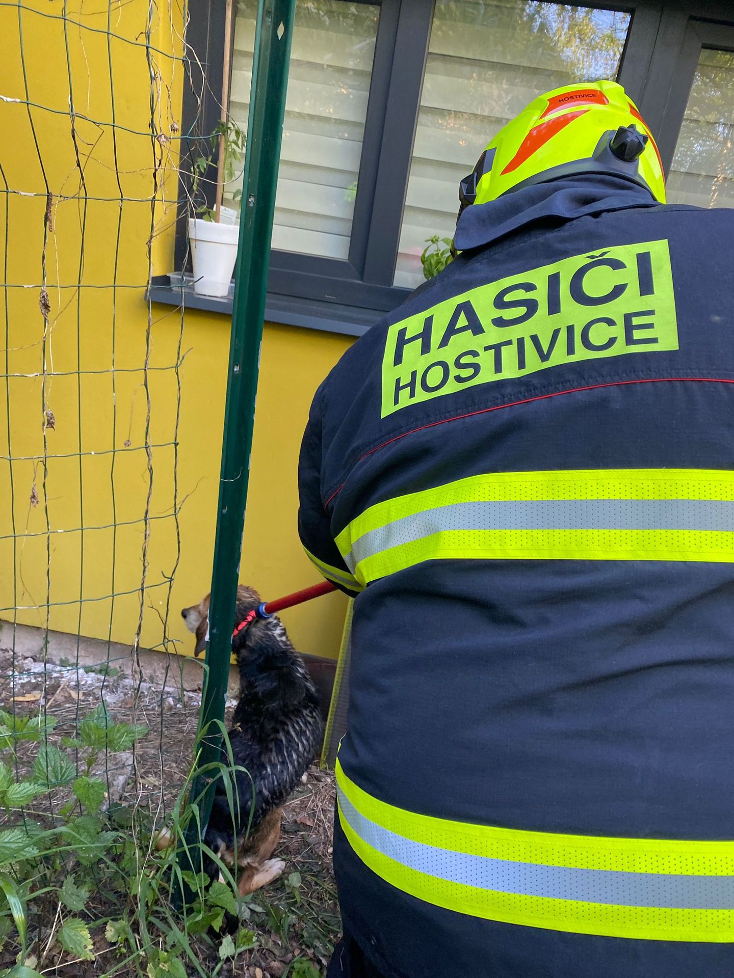 Záchrana psa ze studny (3) - Záchrana psa ze studny (4/4)