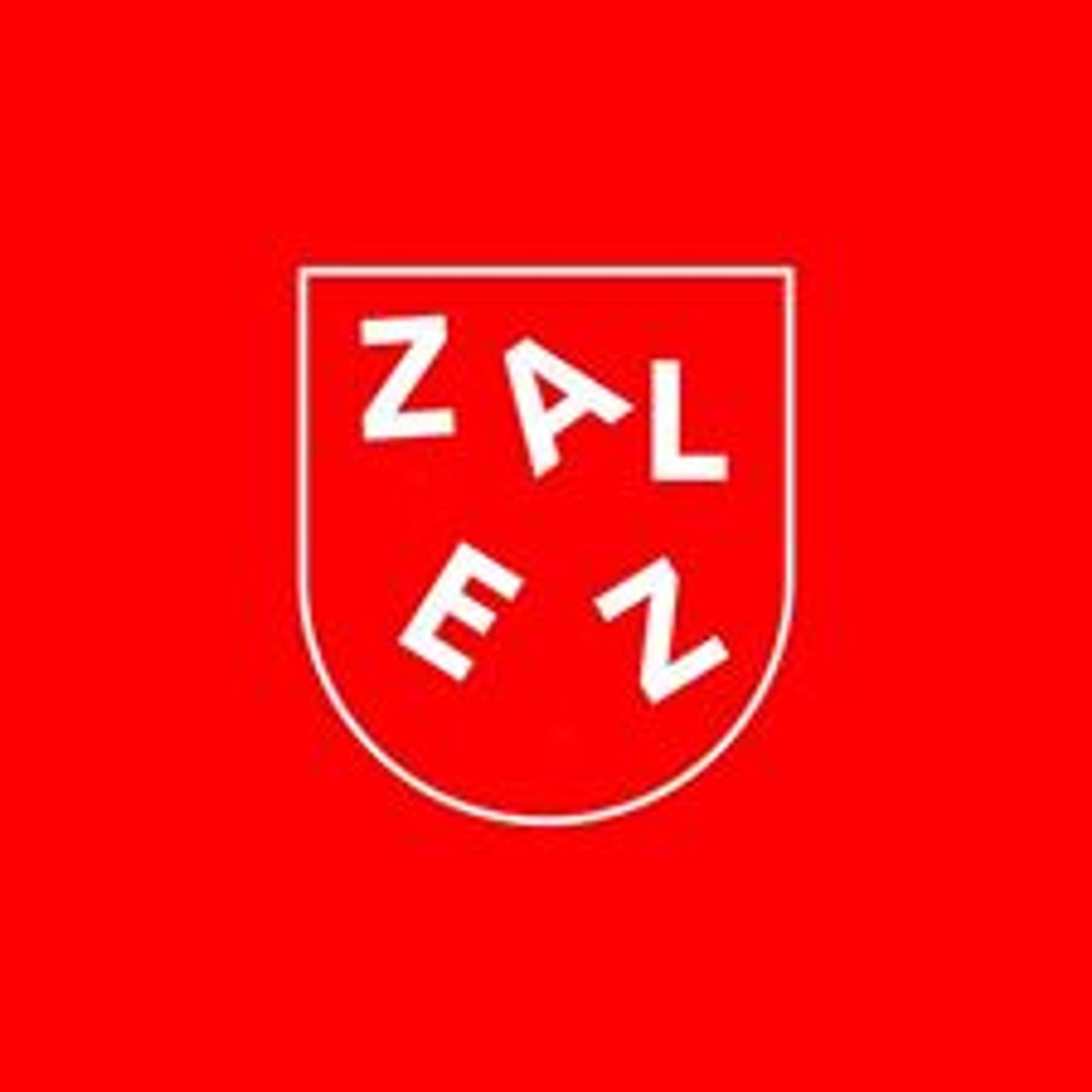 Parodie na logo Val-Mez - GALERIE: Nové logo Valašského Meziříčí (17/20)