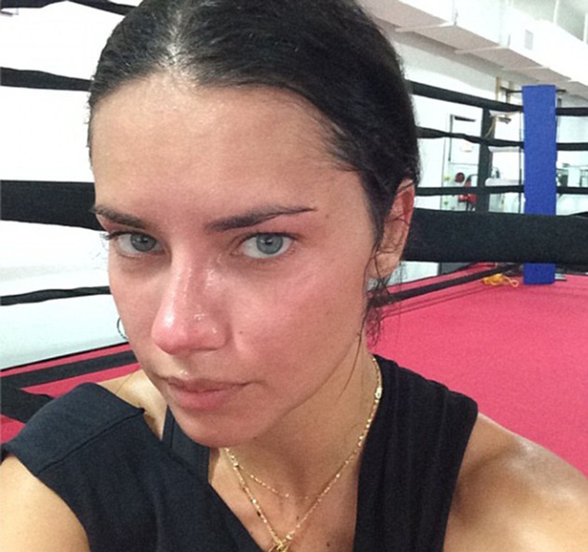 Adriana Lima - GALERIE: Selfie známých osobností (10/13)