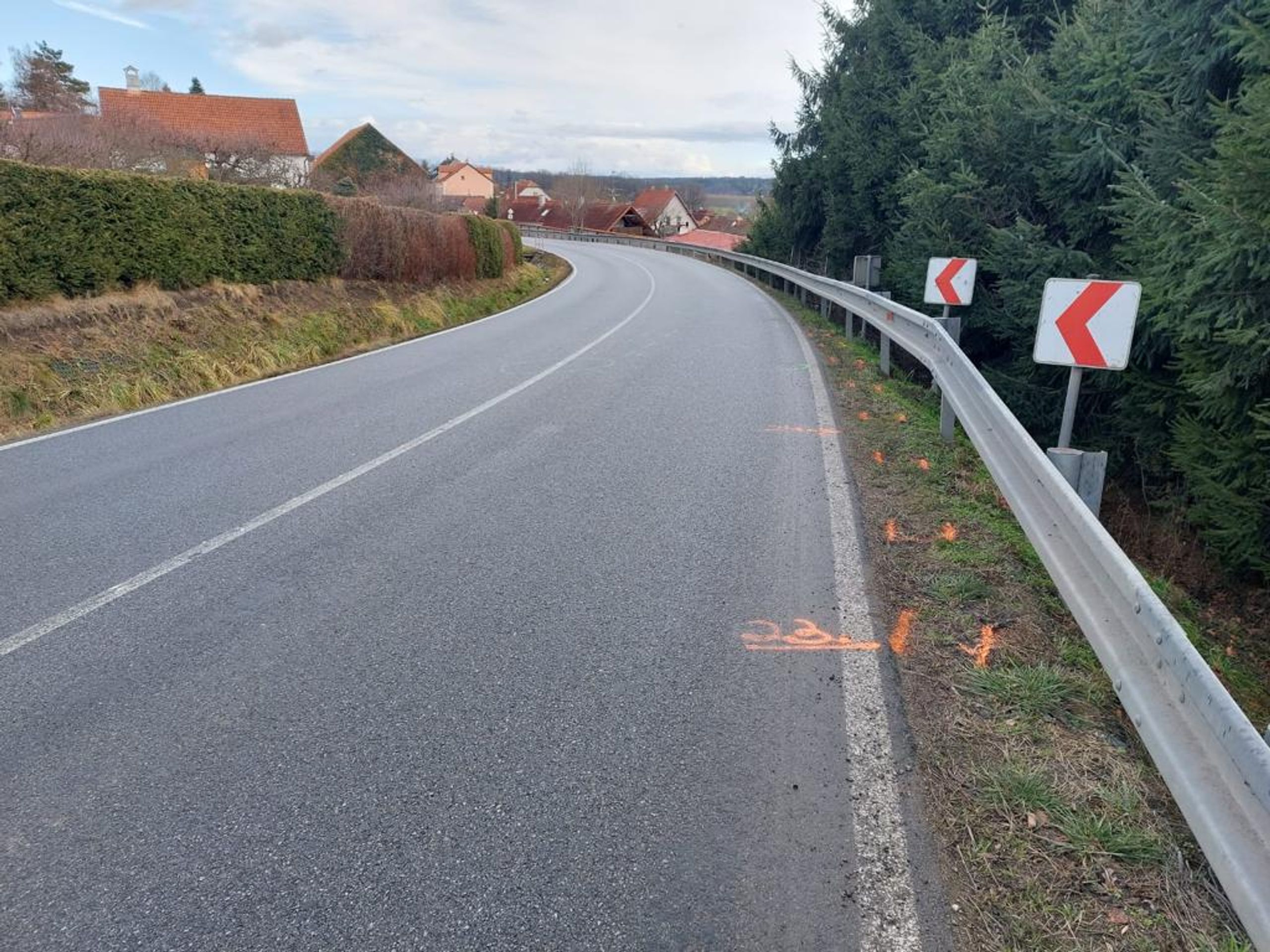 Srážka chodce v obci Nedabyle (1) - Srážka chodce v obci Nedabyle (2/6)
