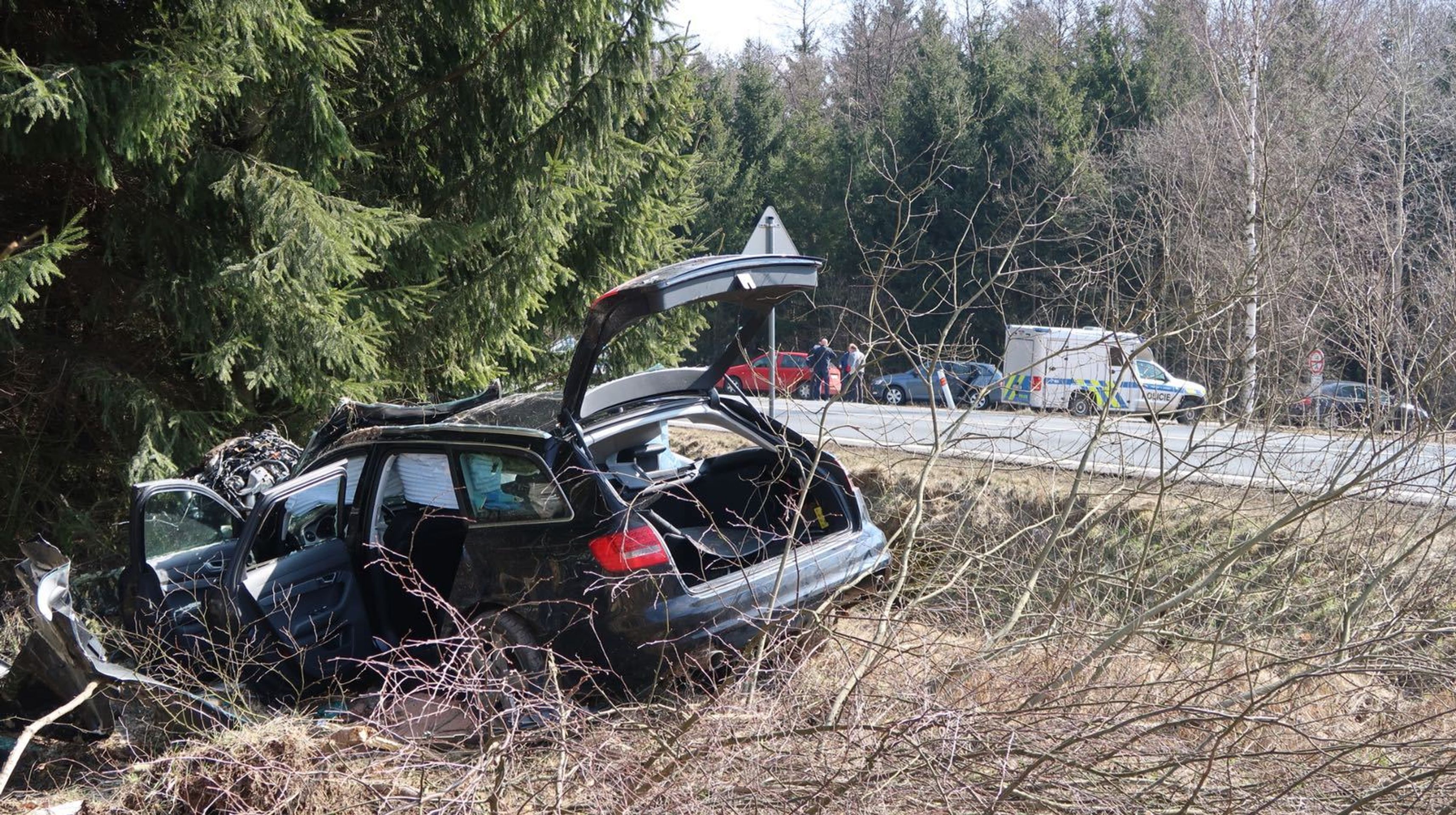 Řidič s kradeným vozem skončil po honičce ve stromě - 9 - GALERIE: Řidič s kradeným vozem skončil po honičce ve stromě (3/11)