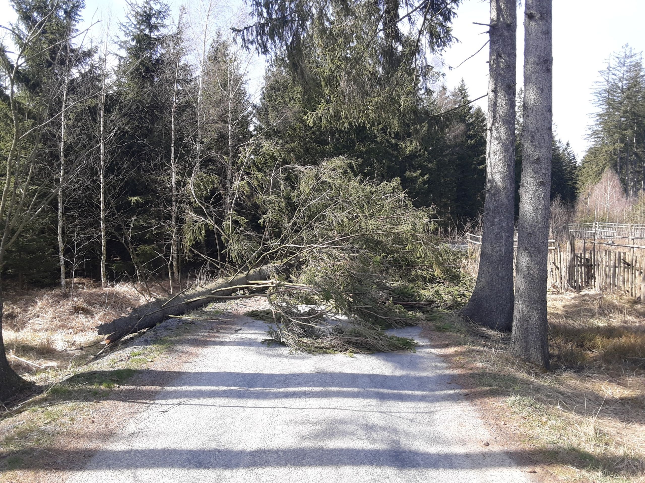 Zásah hasičů na Vysočině - Do Česka se přihnal silný vítr (12/14)