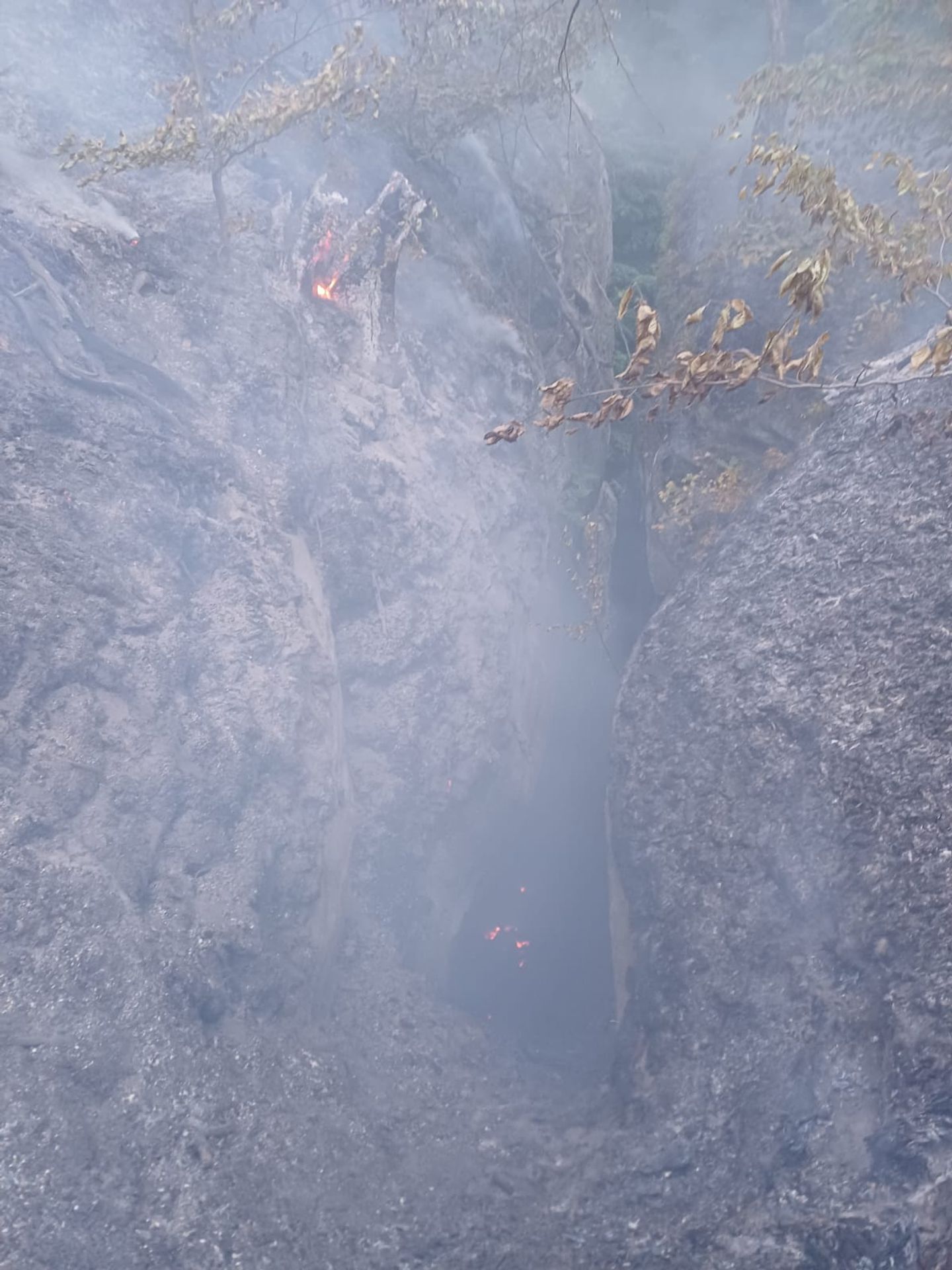Lesní požár na Mladoboleslavsku - Lesní požár na Mladoboleslavsku (15/22)