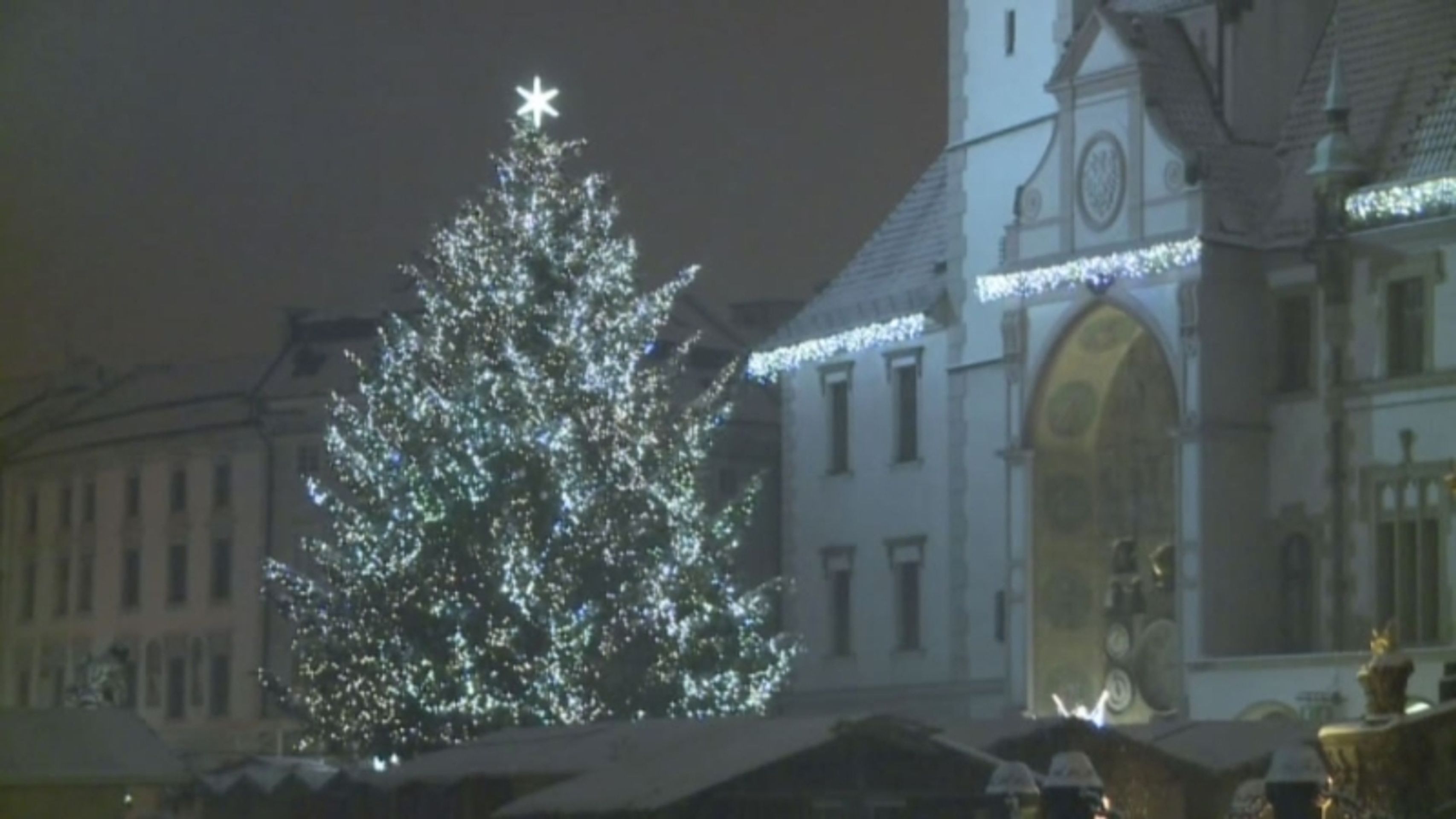 Vánoční strom - Olomouc - Vánoční stromy 2012 (8/14)