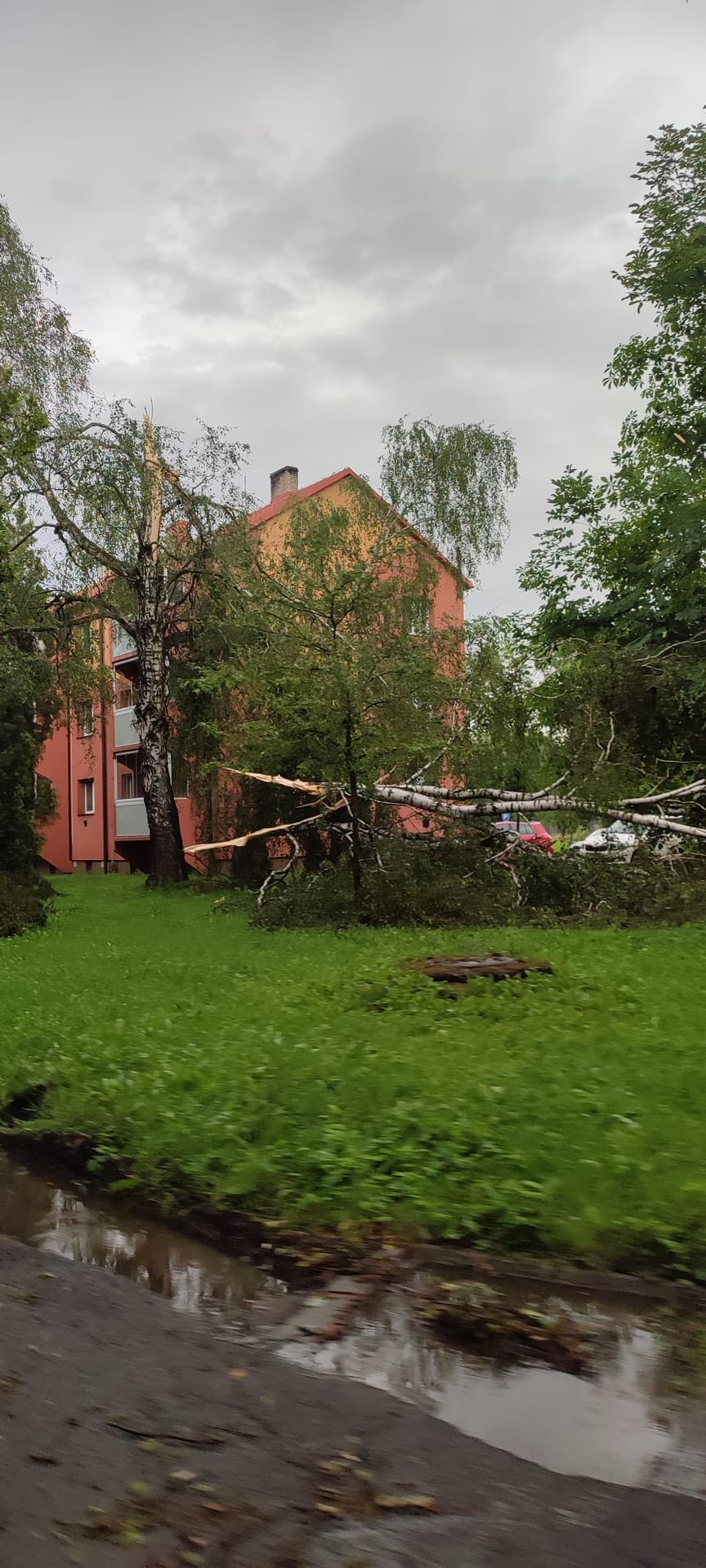 Údajné tornádo zpustošilo Studénku - Údajné tornádo zpustošilo Studénku (2/4)
