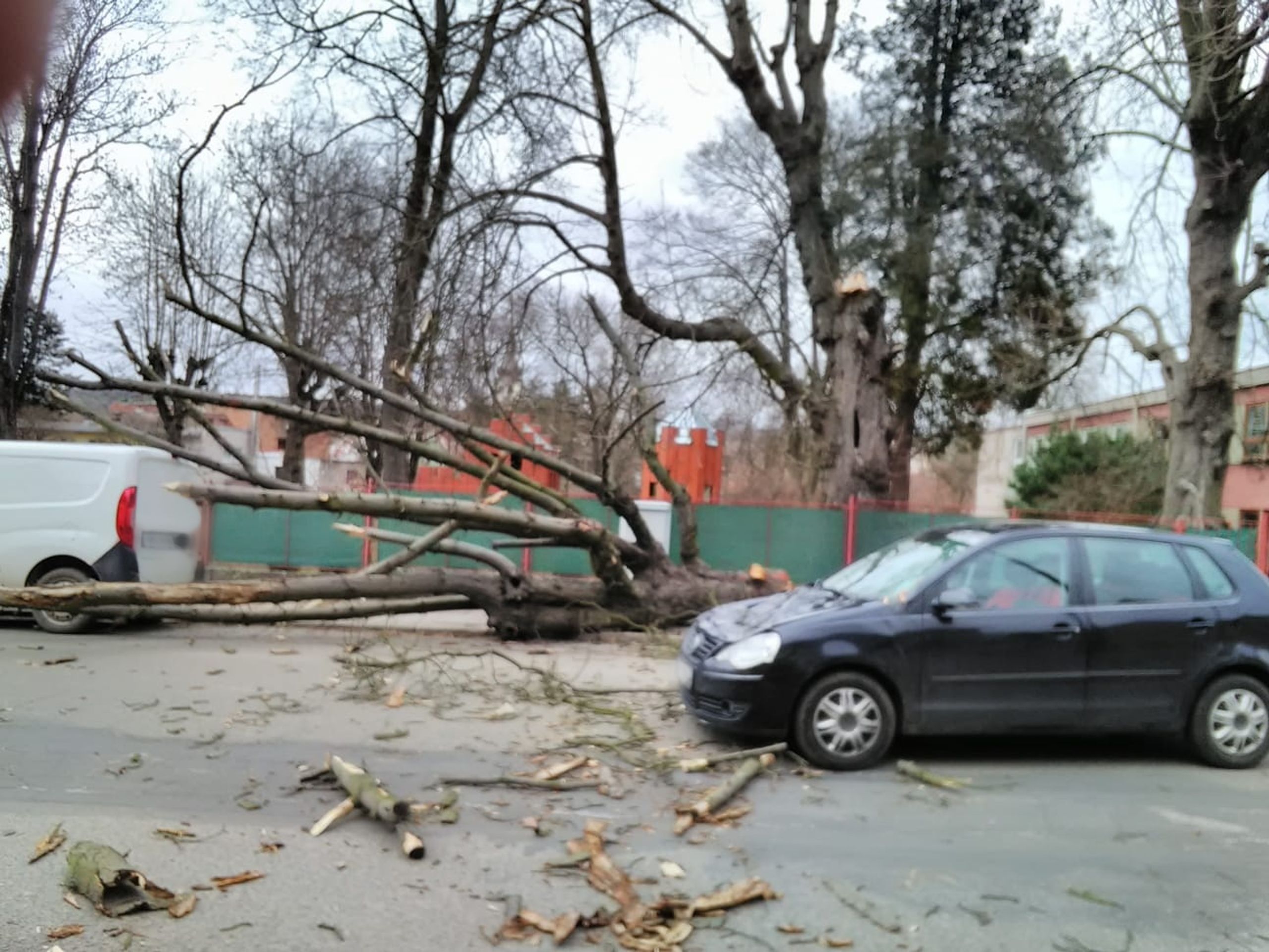 Strom v Hořicích spadl na dvě auta - GALERIE: Spadlý sloup vysokého napětí (13/13)