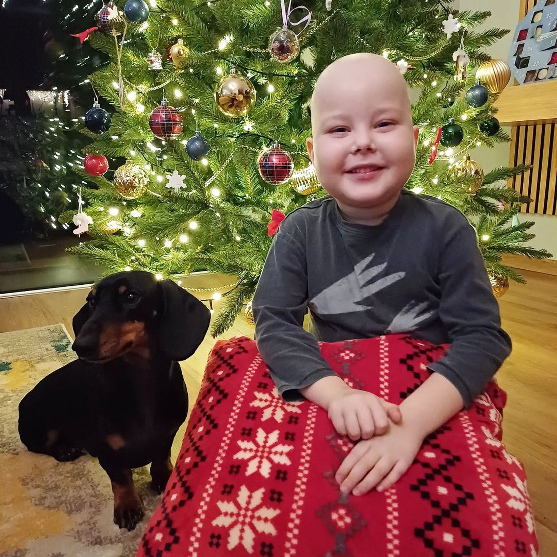 Malý Artur trpí vzácným HLH syndromem (3) - Artur trpí vzácným HLH syndromem (6/12)