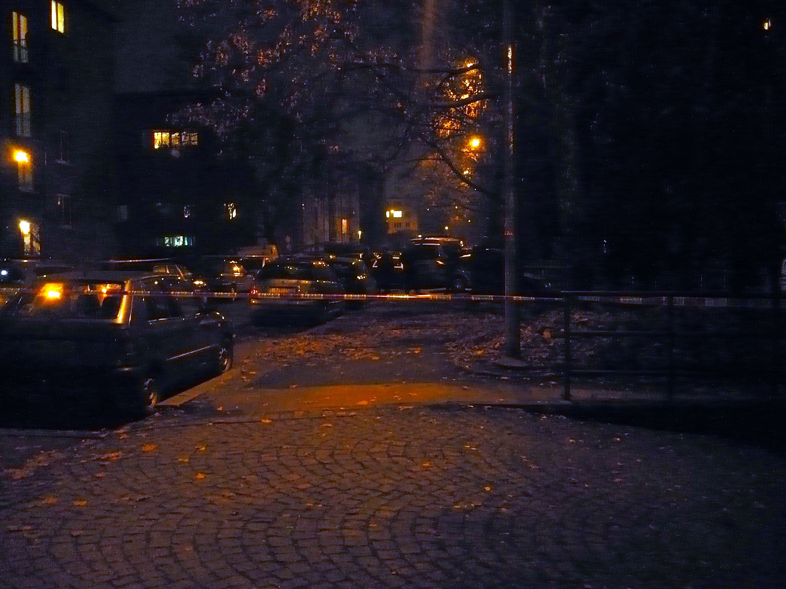 Střelba na Spořilově-3 - Mrtvý muž a žena. Policista se třemi průstřely v nemocnici (3/4)