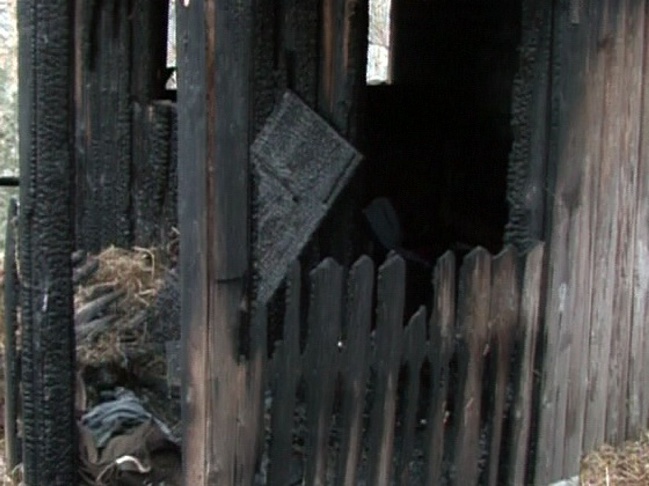 Uhořelá chata v Táboře - Peklo v chatce: dva lidé uhořeli (3/3)