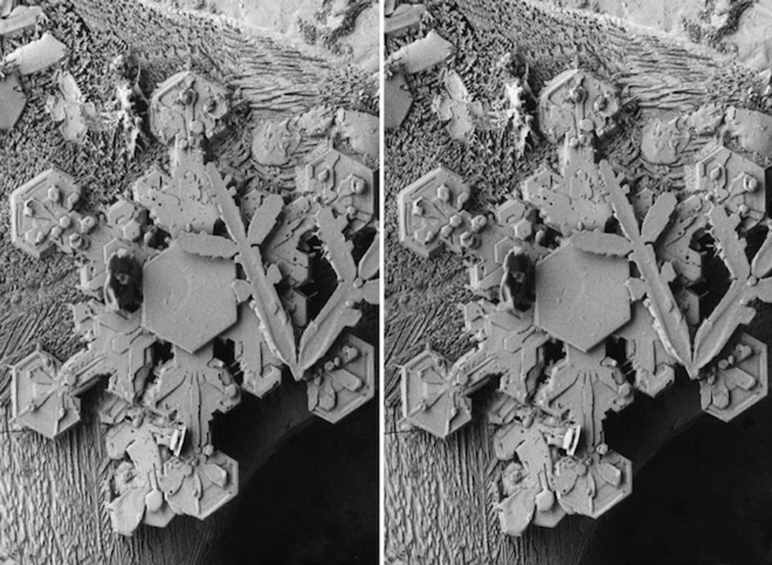 Vločka pod mikroskopem - 3 - GALERIE: Sněhová vločka pod mikroskopem (10/22)