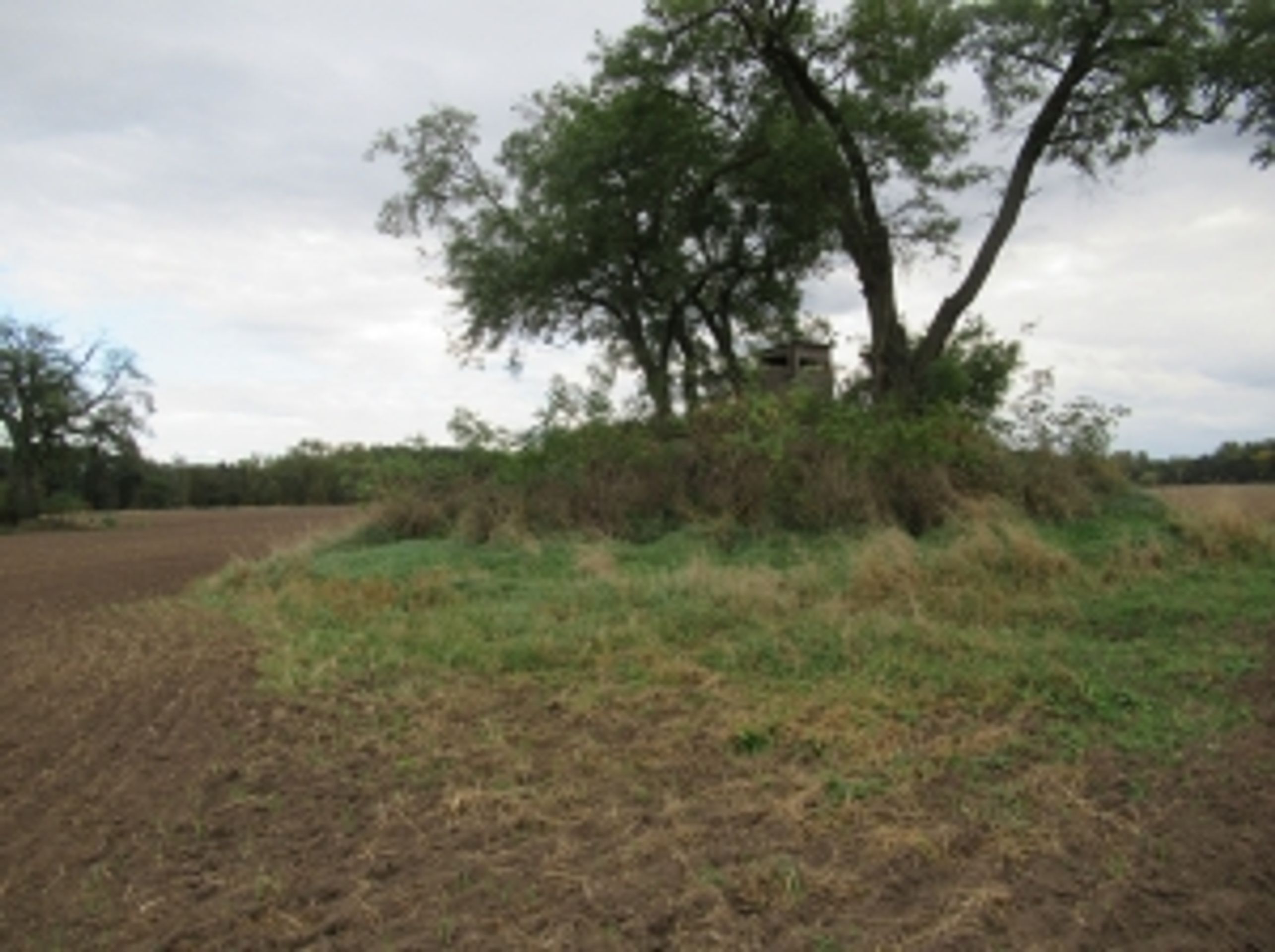 Řopík SLO VEČ 605OL v obci Hrabětice, okres Znojmo (2) - Nabídka nemovitého majetku (24/61)