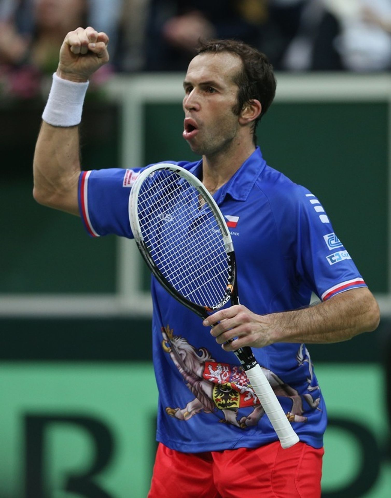 Radek Štěpánek vs. Nicolas Almagro - 2 - GALERIE: Radek Štěpánek vs. Nicolas Almagro (11/12)